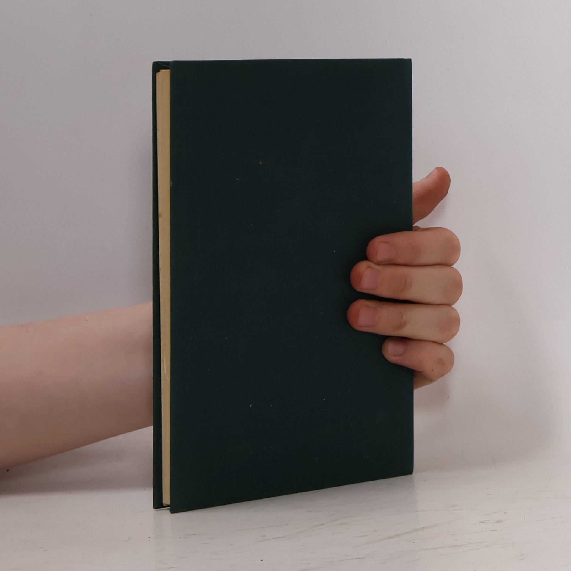 Katia Mann Meine Ungeschriebenen Memoiren