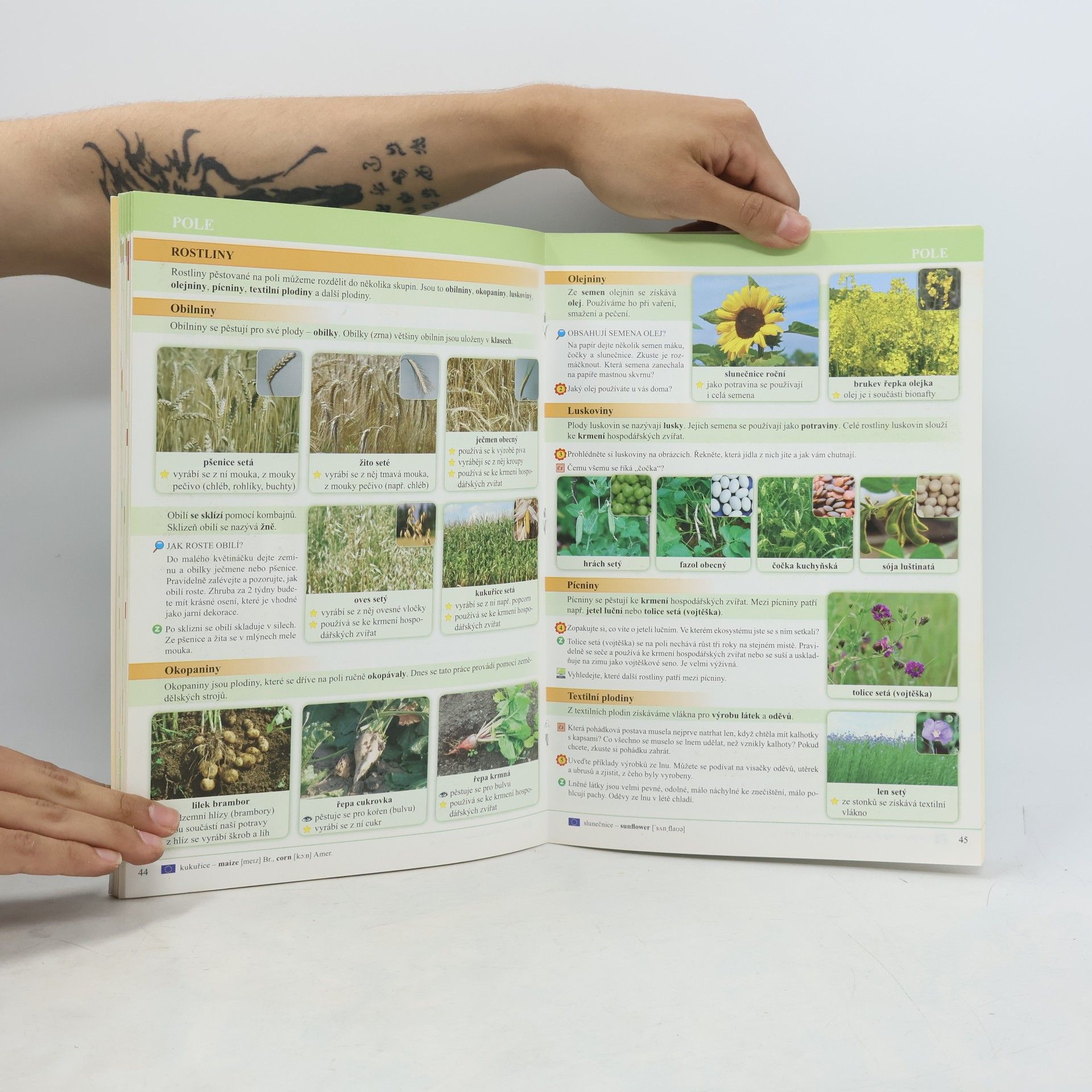 Lenka Klinkovská Přírodověda 4 : porozumění v souvislostech : pro 4. ročník základní školy : učebnice