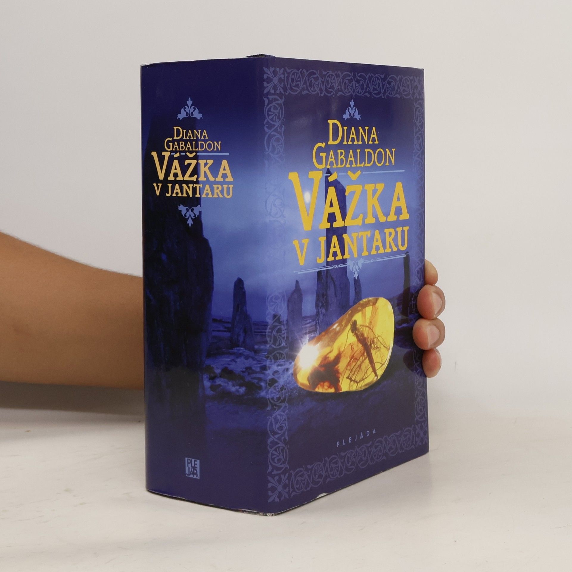 Diana Gabaldon Vážka v jantaru