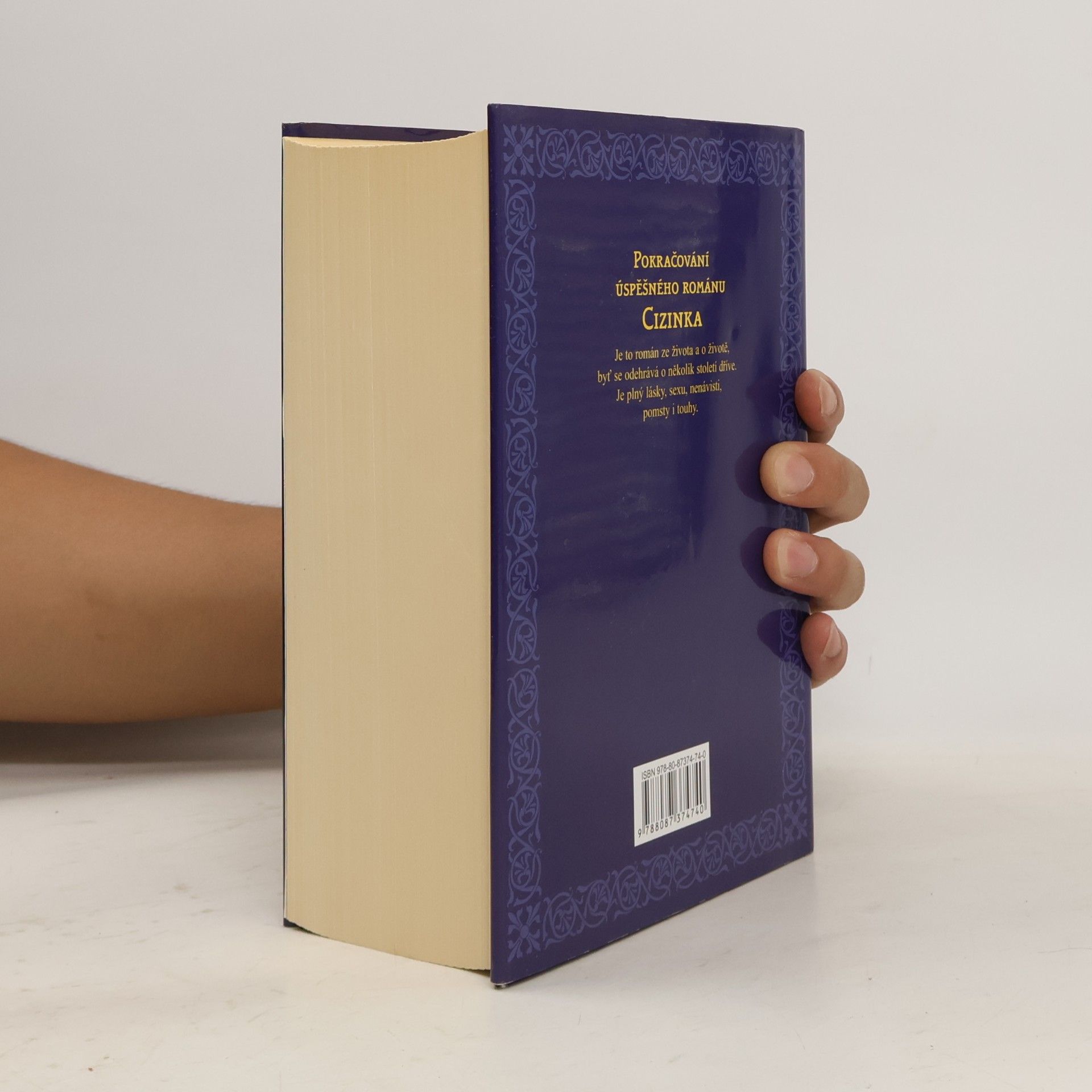 Diana Gabaldon Vážka v jantaru