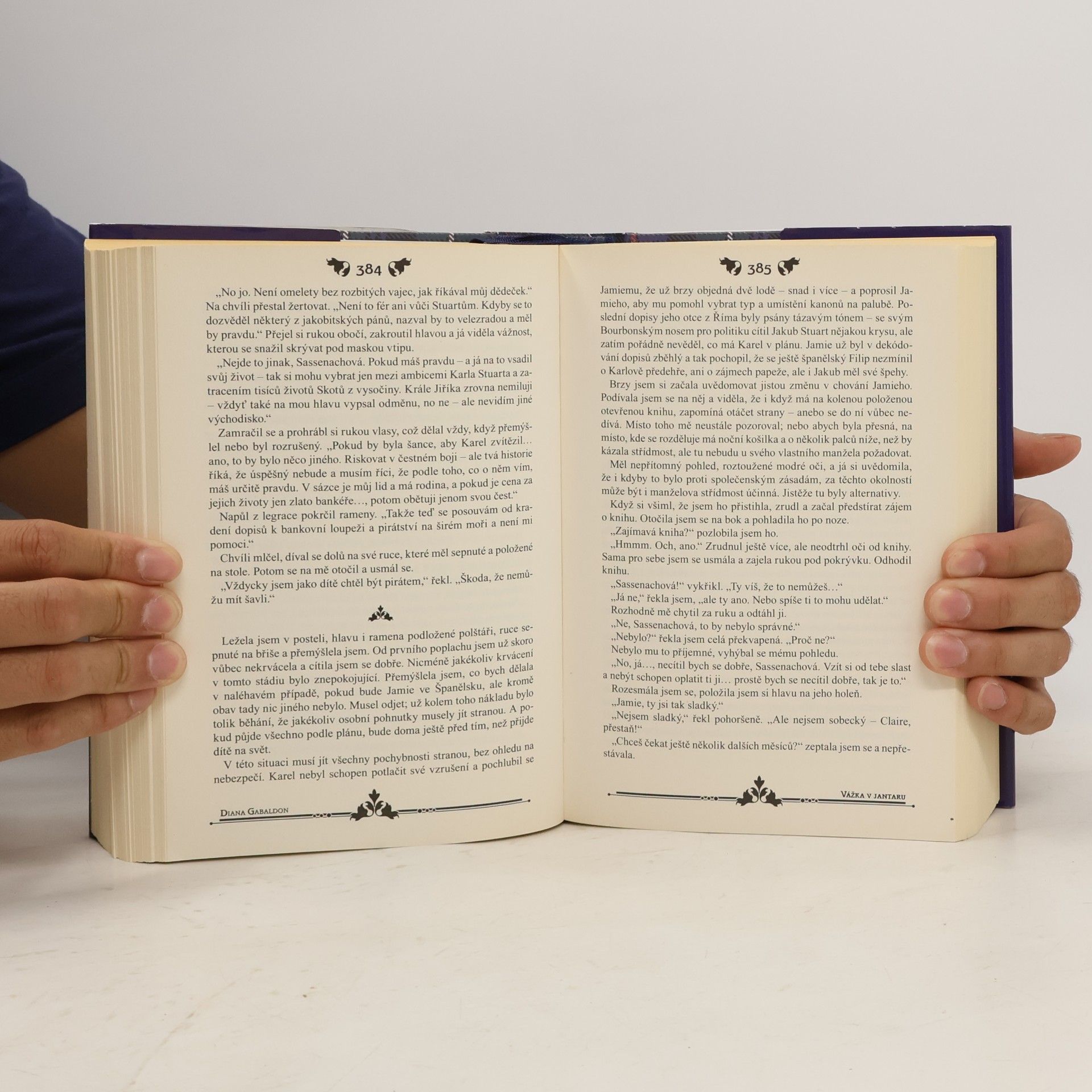Diana Gabaldon Vážka v jantaru
