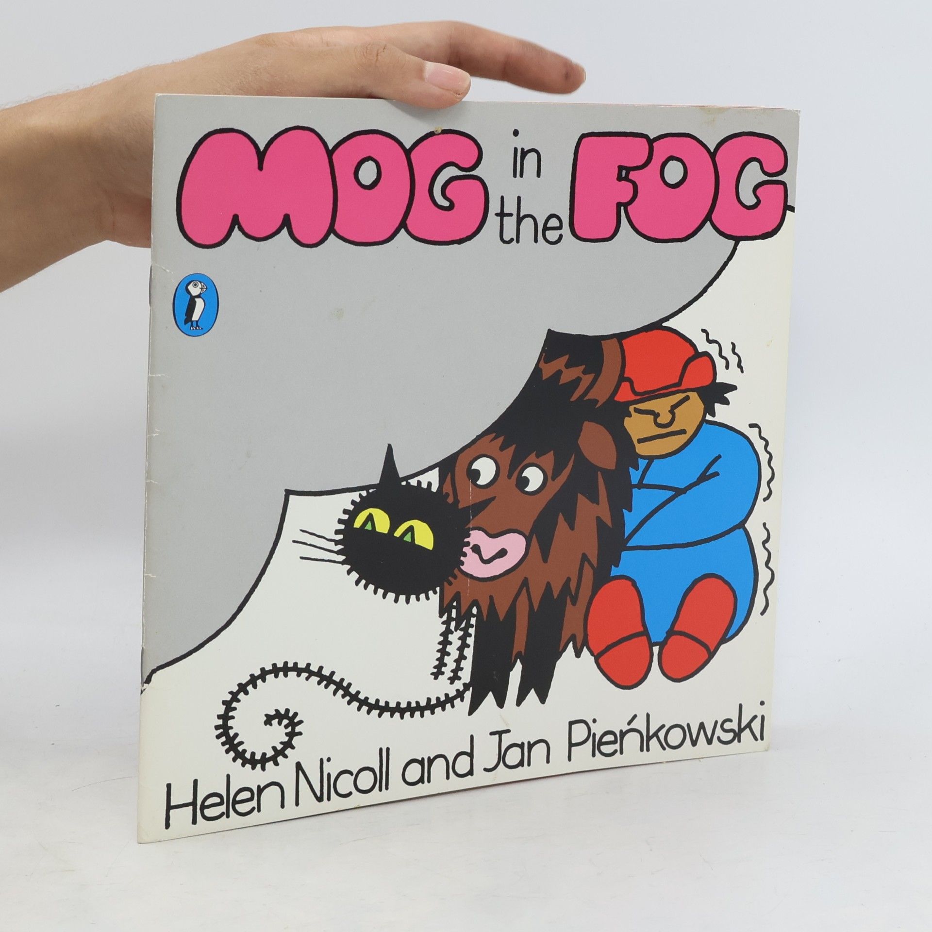 Helen Nicoll Mog in the Fog