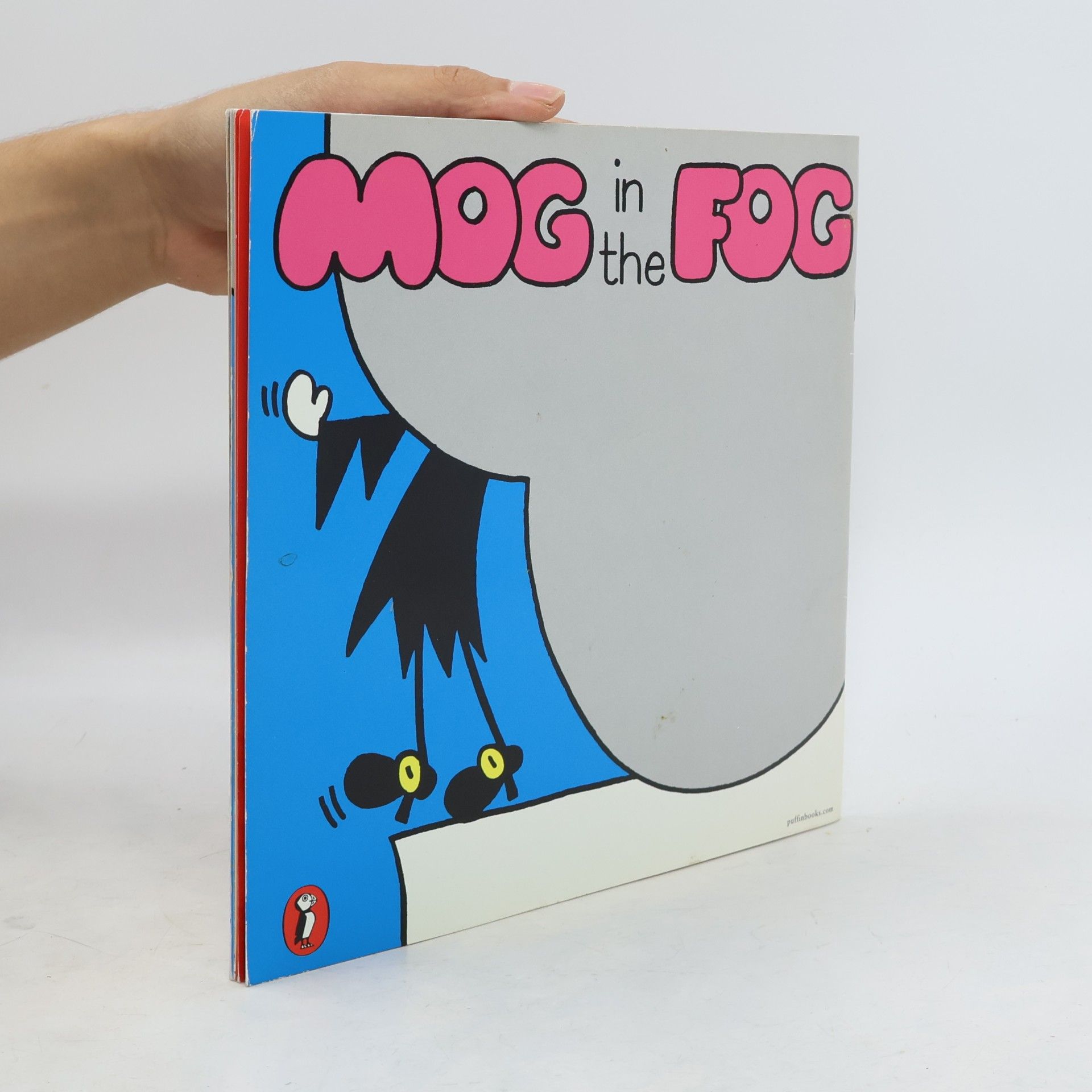 Helen Nicoll Mog in the Fog