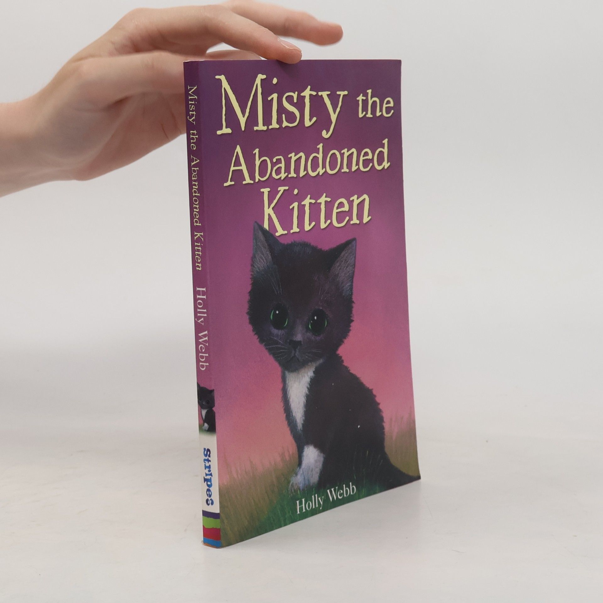 Misty the Abandoned Kitten