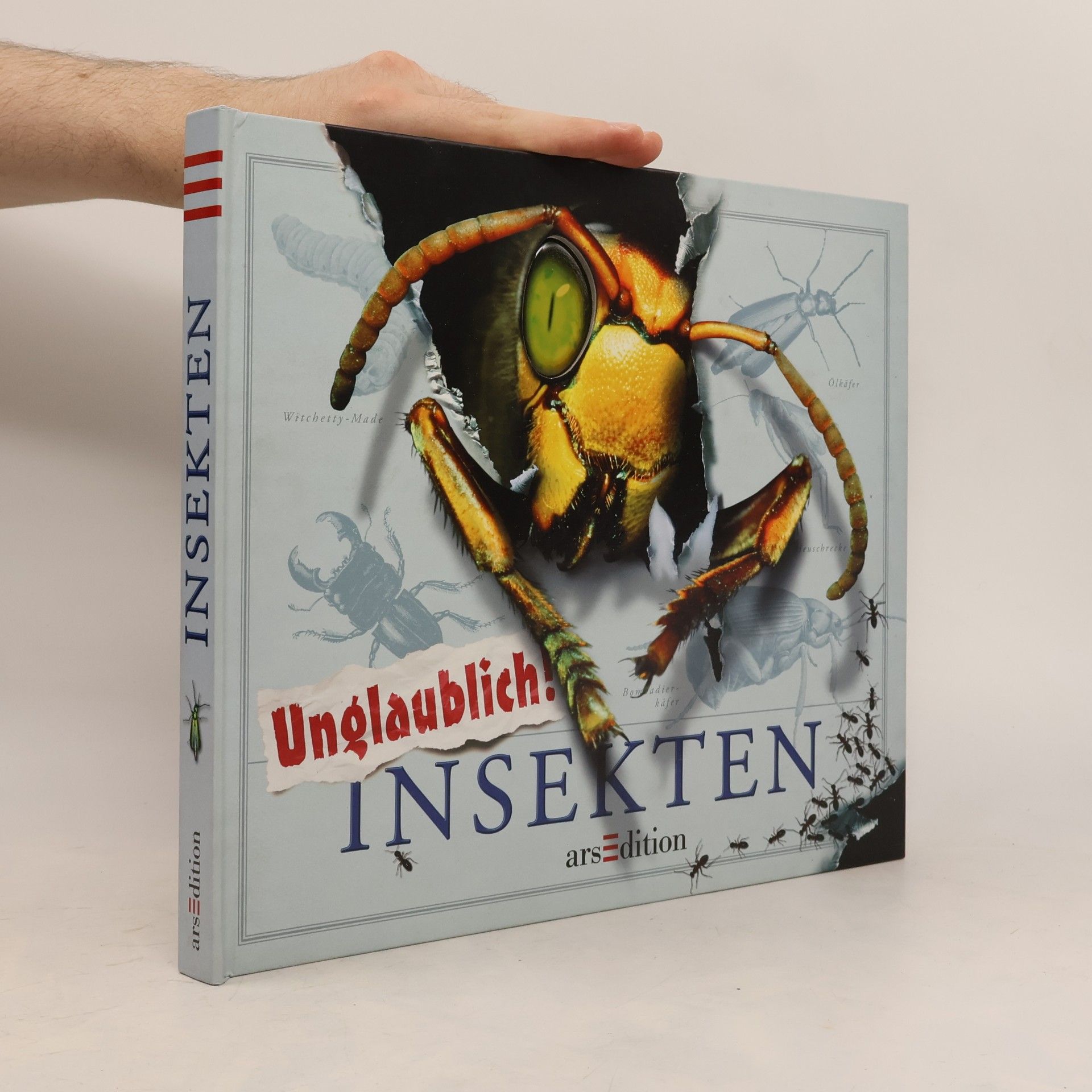 Autorenkollektiv Unglaublich! Insekten