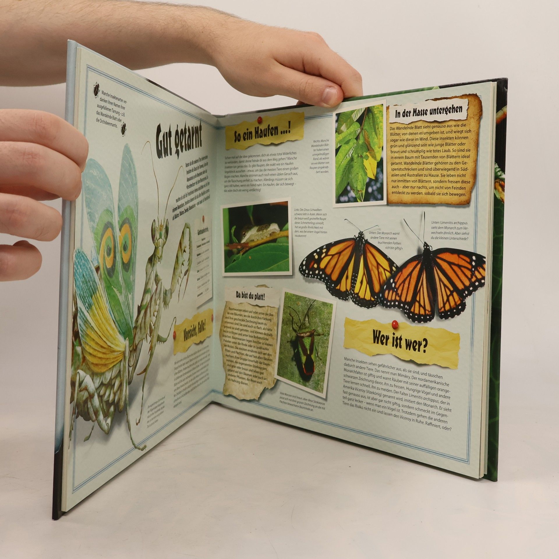 Unglaublich! Insekten