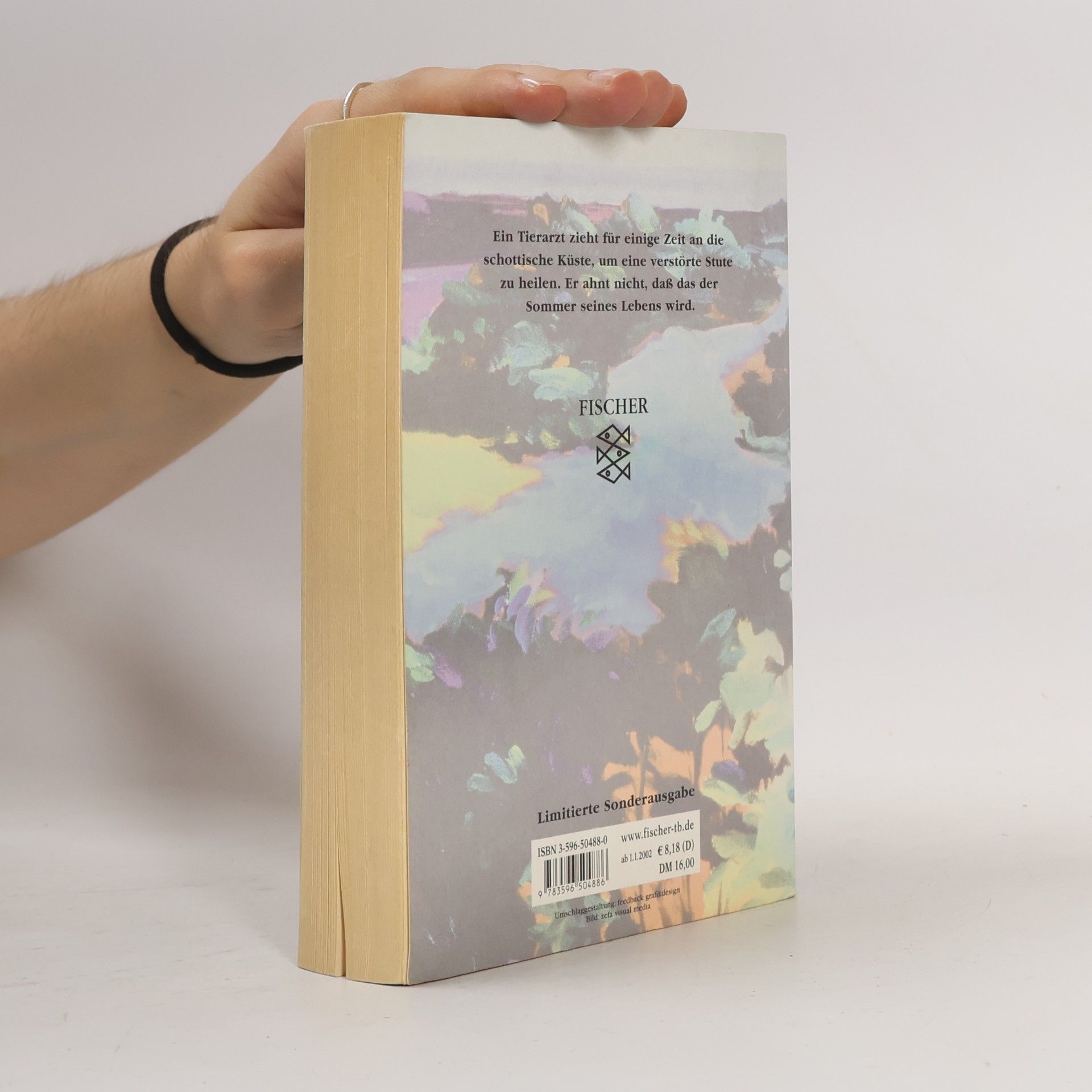 Evita Wolff Im Schatten des Pferdemondes. Sonderausgabe.