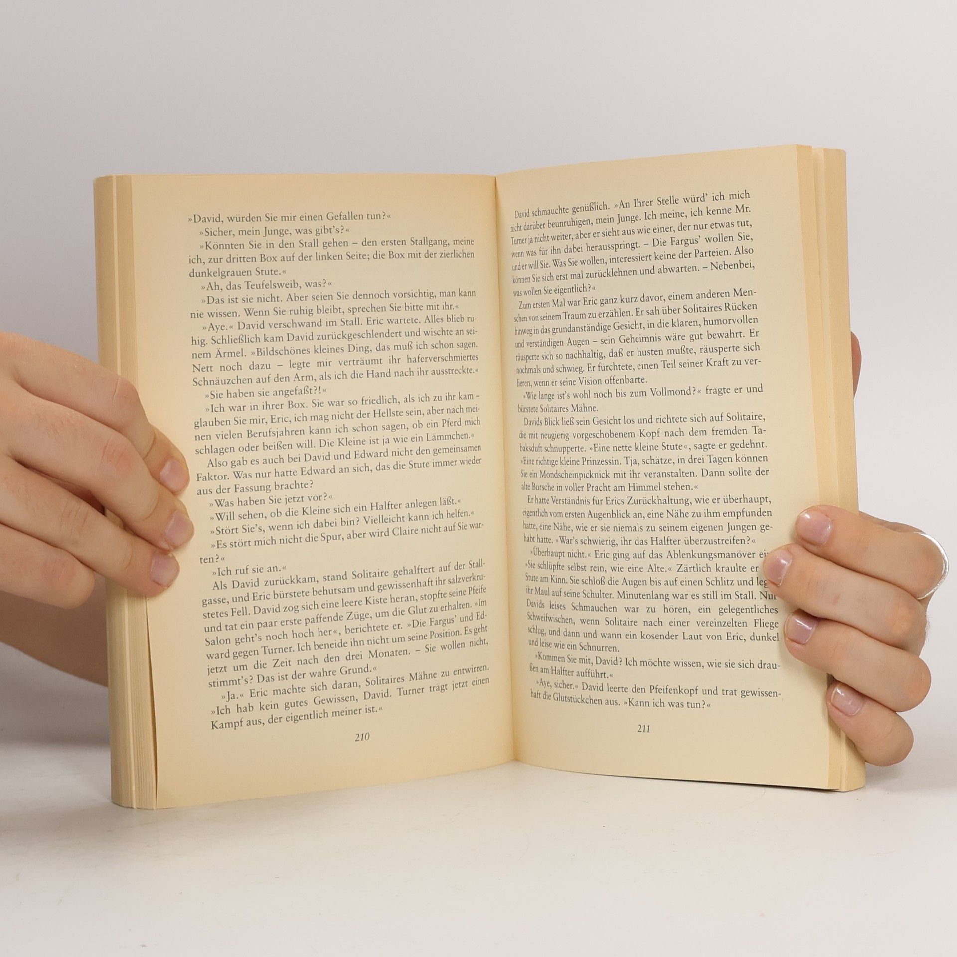 Evita Wolff Im Schatten des Pferdemondes. Sonderausgabe.