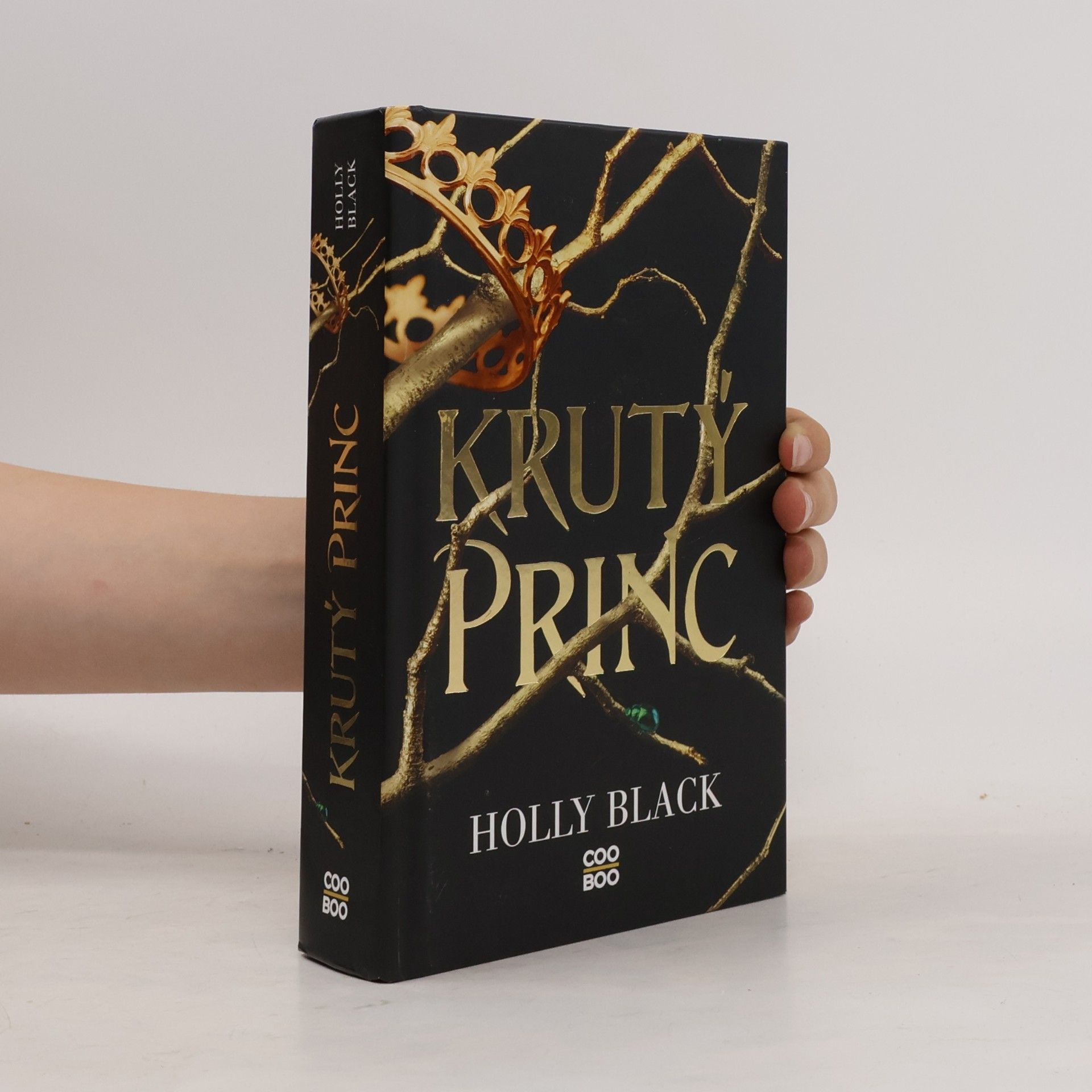 Holly Black Krutý princ