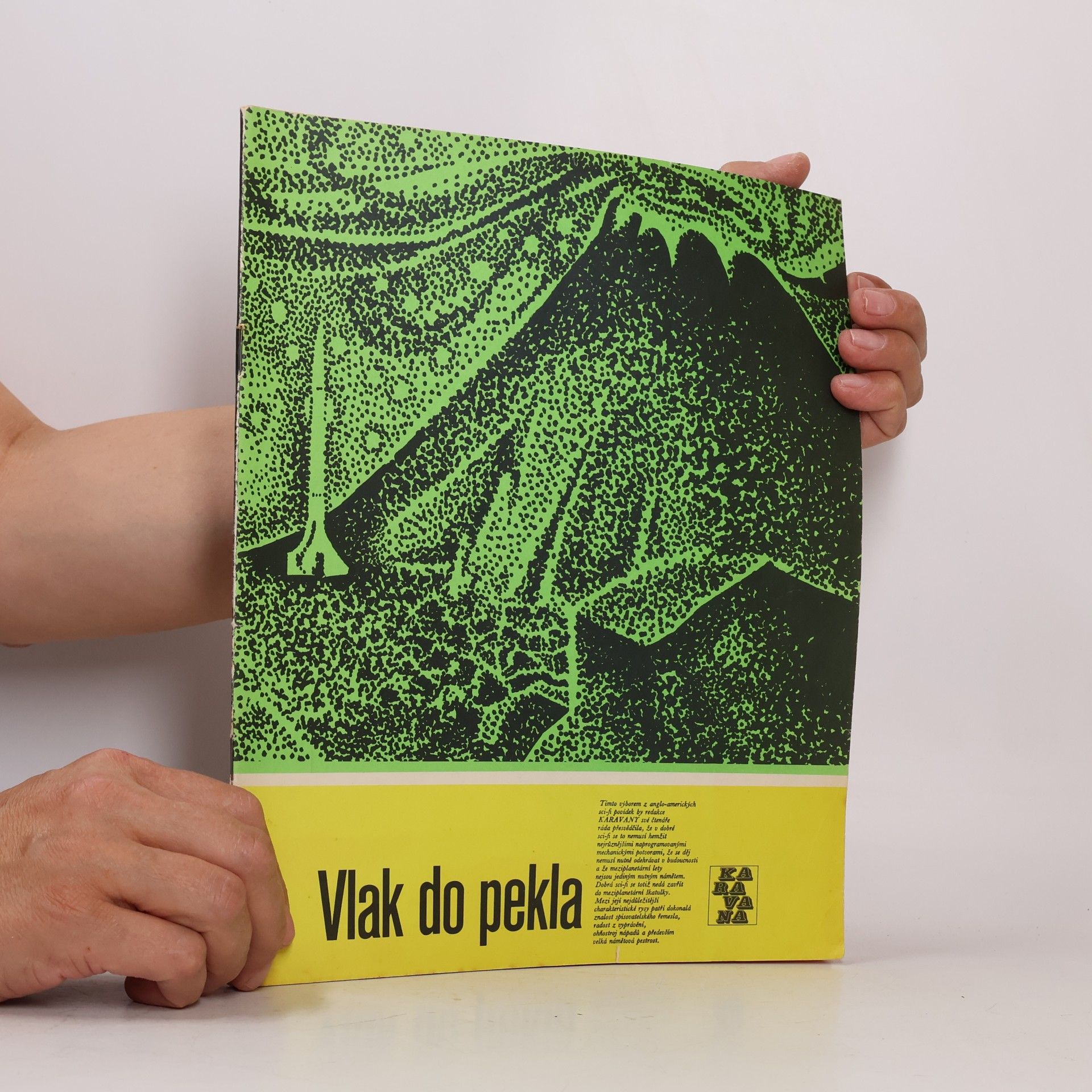 Collectif d'auteurs Vlak do pekla