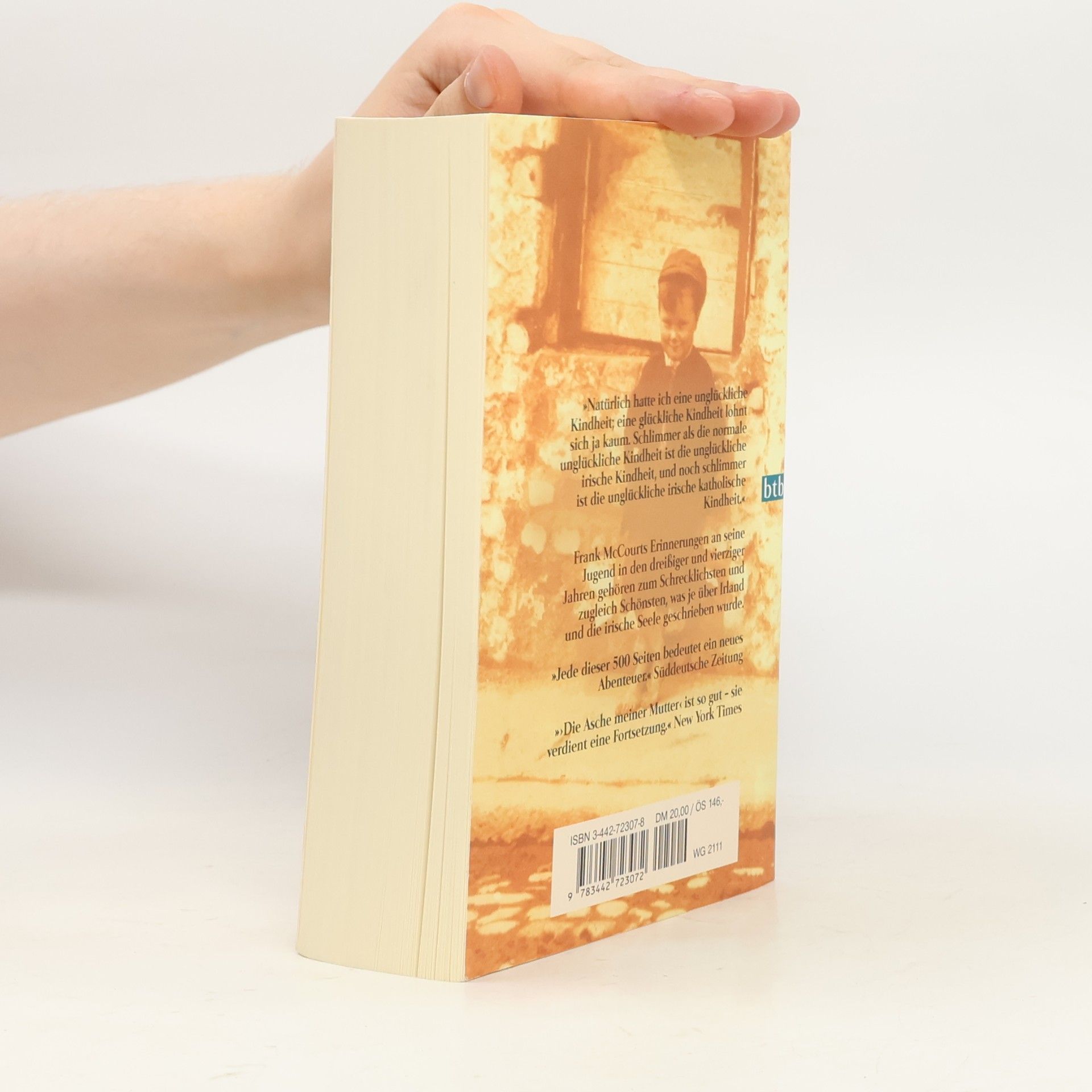 Frank McCourt Die Asche meiner Mutter