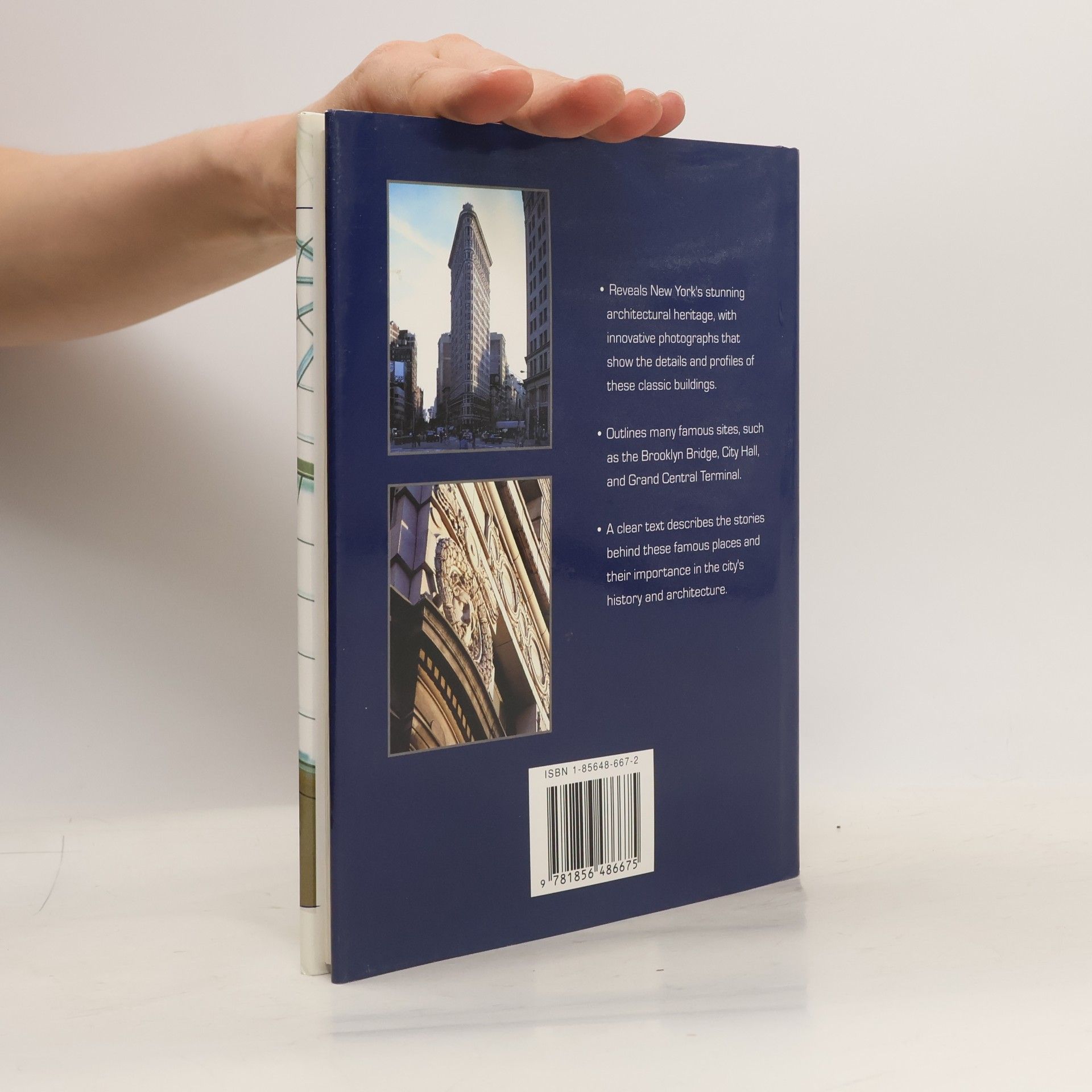 Marcia Reiss Architecture in Detail - New York
