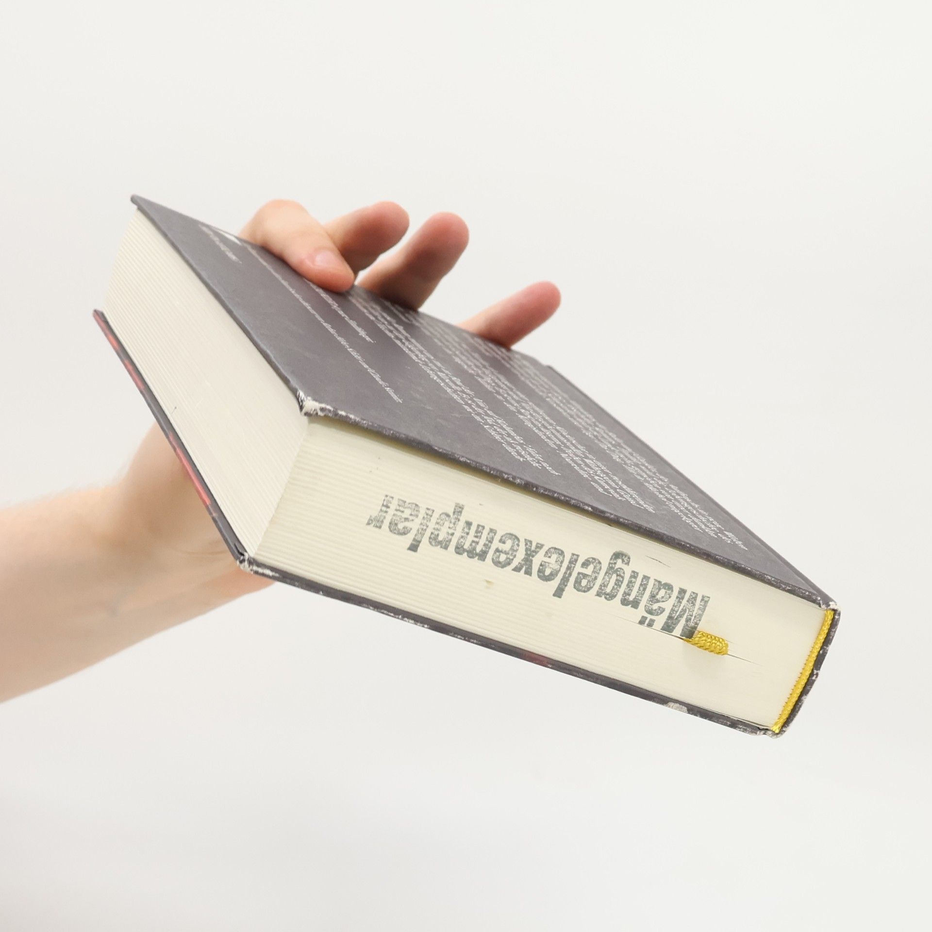 Olivier Sillig Schule der Gaukler