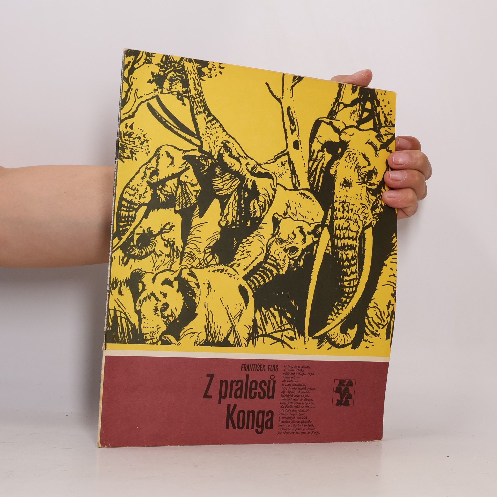 Karavana č. 156, Z pralesů Konga