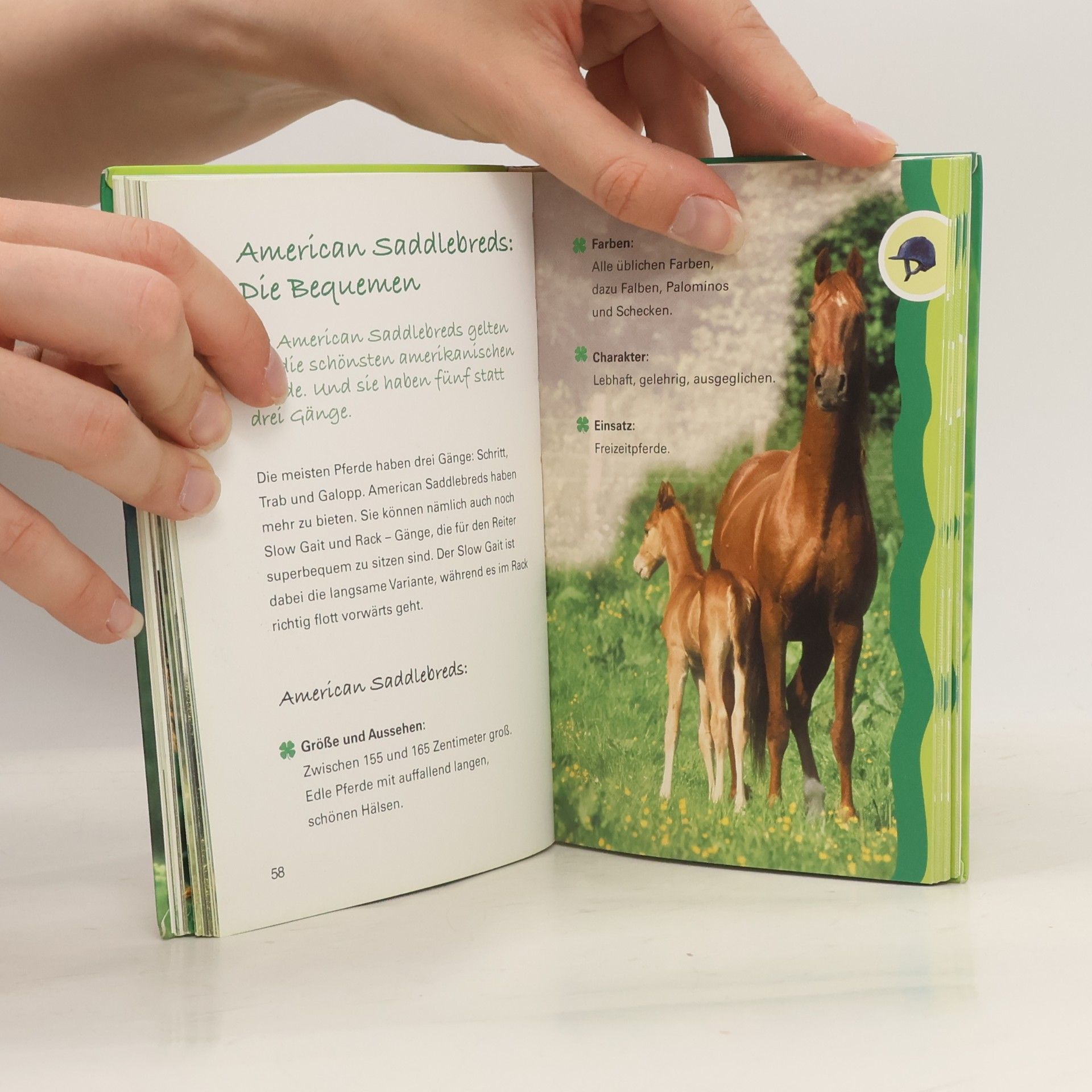 Sibylle Luise Binder Pferde- und Ponyrassen