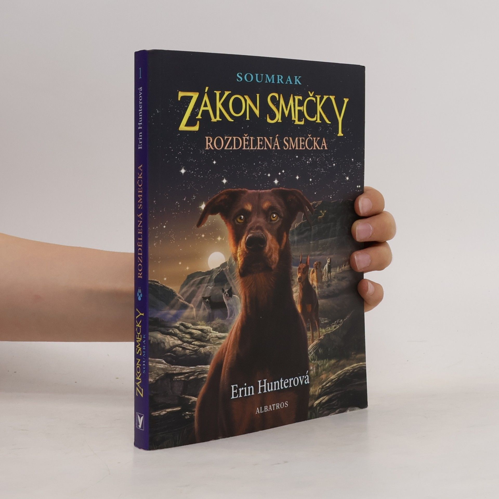 Erin Hunter Rozdělená smečka