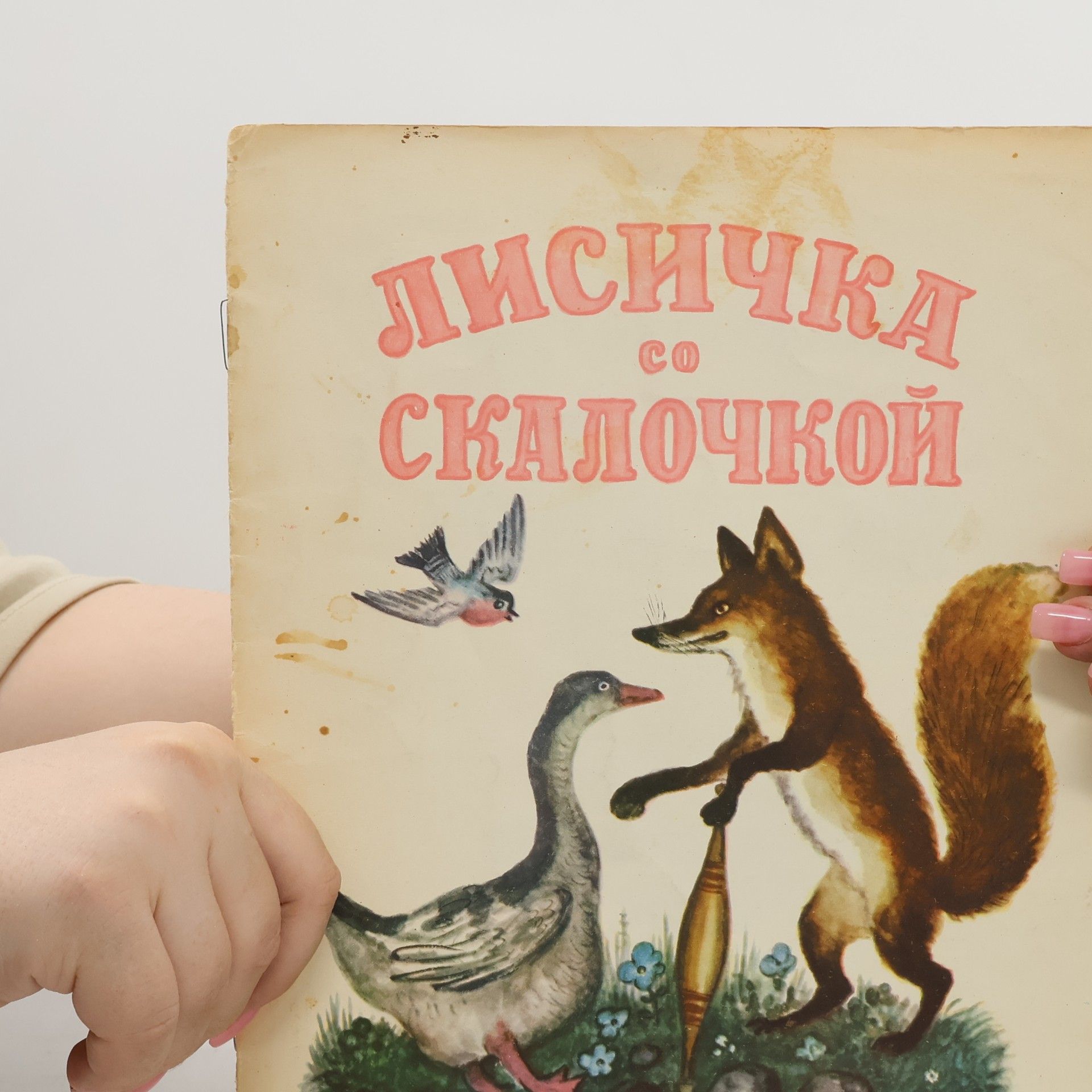 Autorenkollektiv Лисичка со скалочкой