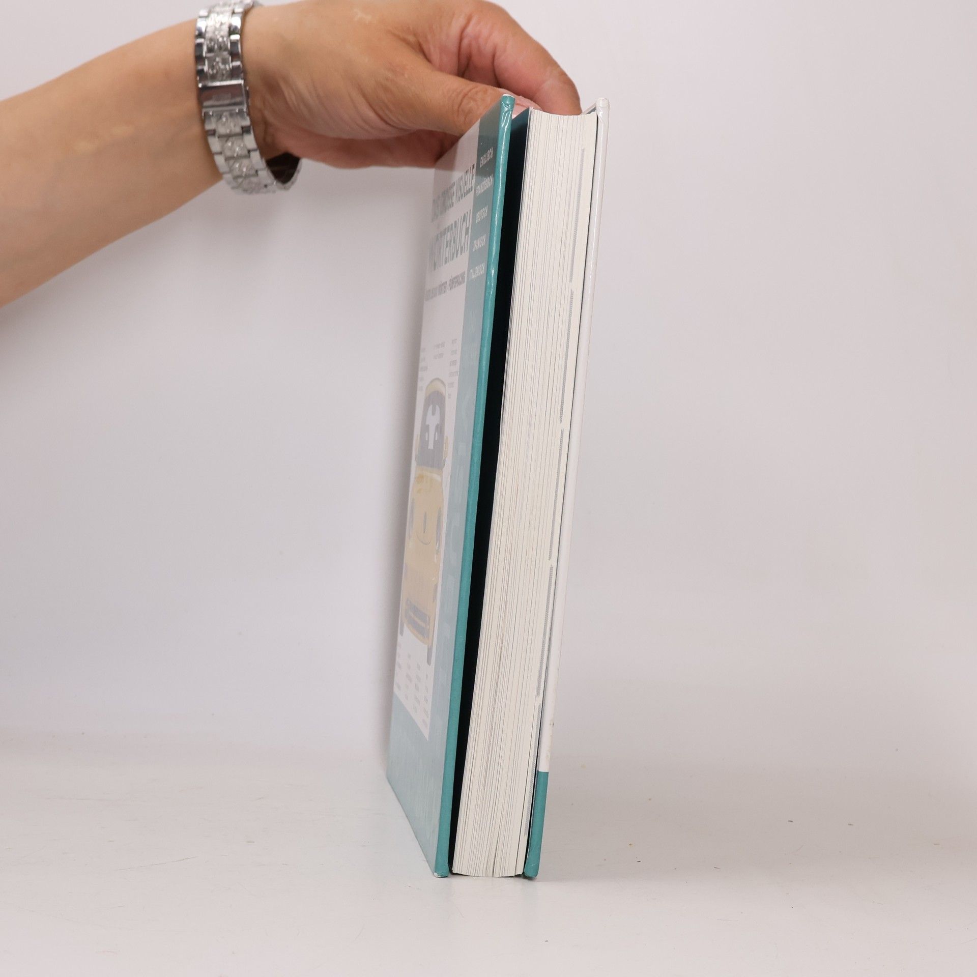 Arturo Pretel Das große visuelle Wörterbuch