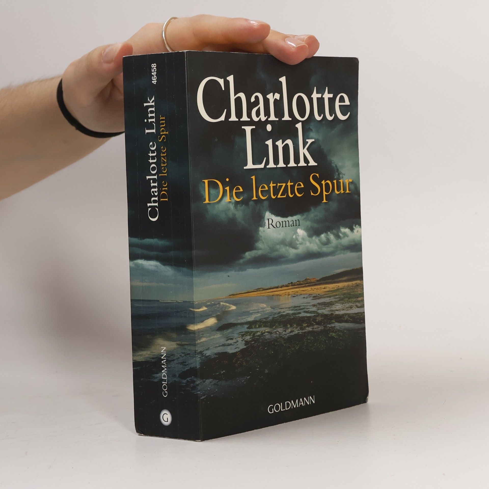 Charlotte Link Die letzte Spur