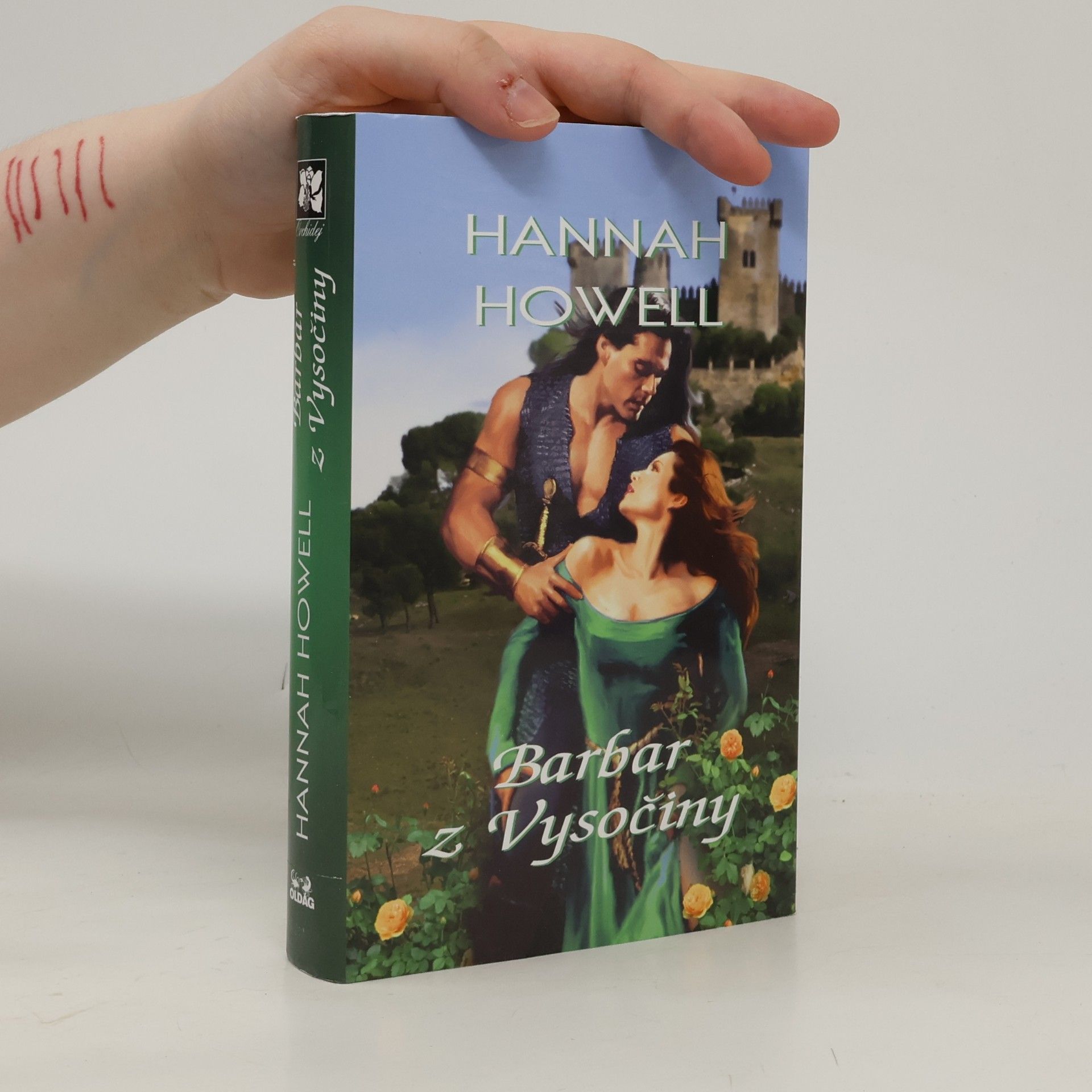 Hannah Howell Barbar z Vysočiny
