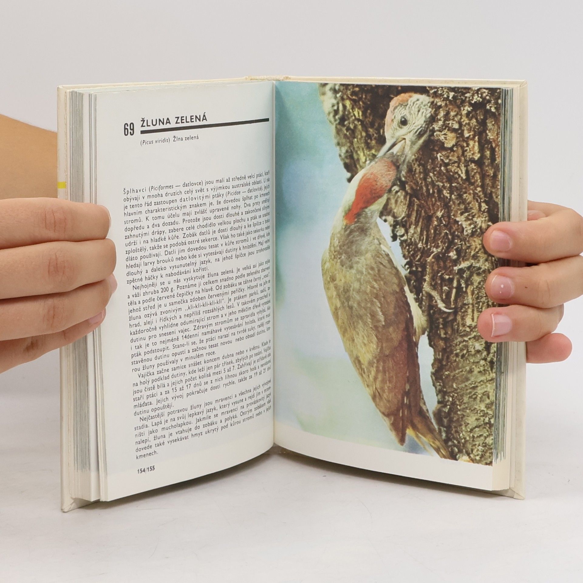 Otakar Procházka Kapesní atlas ptáků