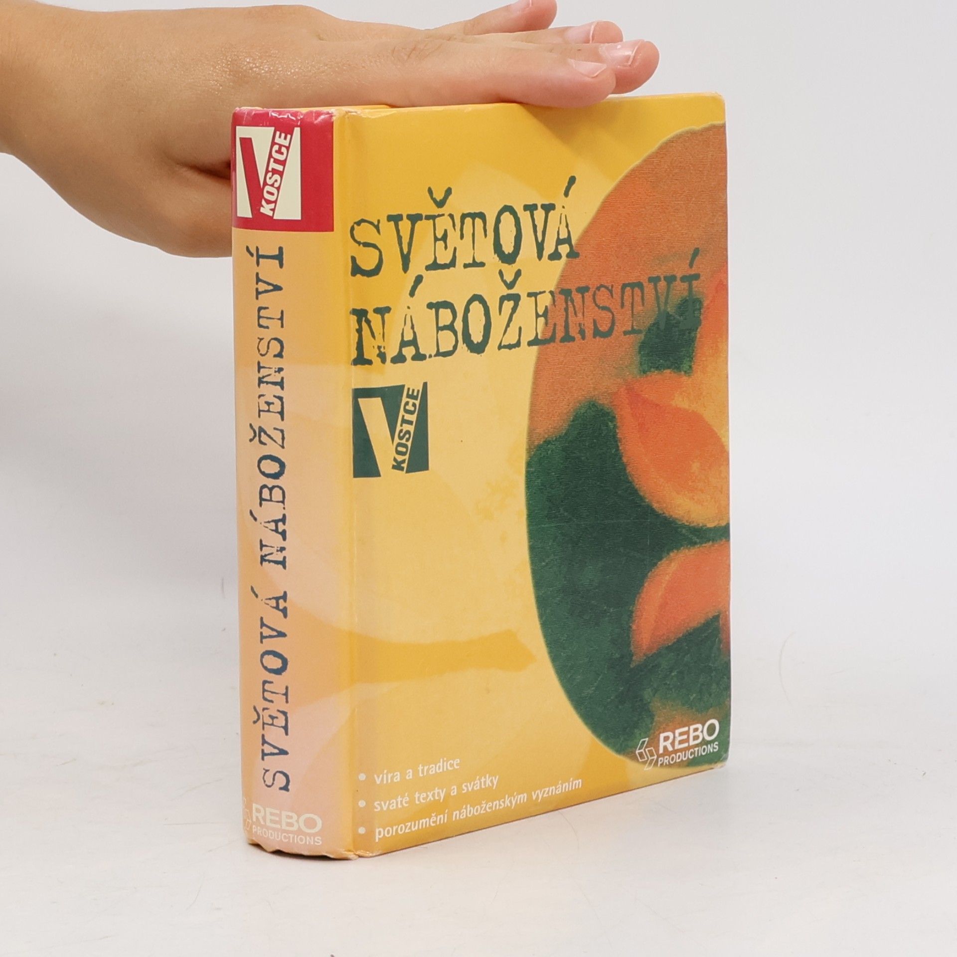 Seán McLoughlin Světová náboženství v kostce