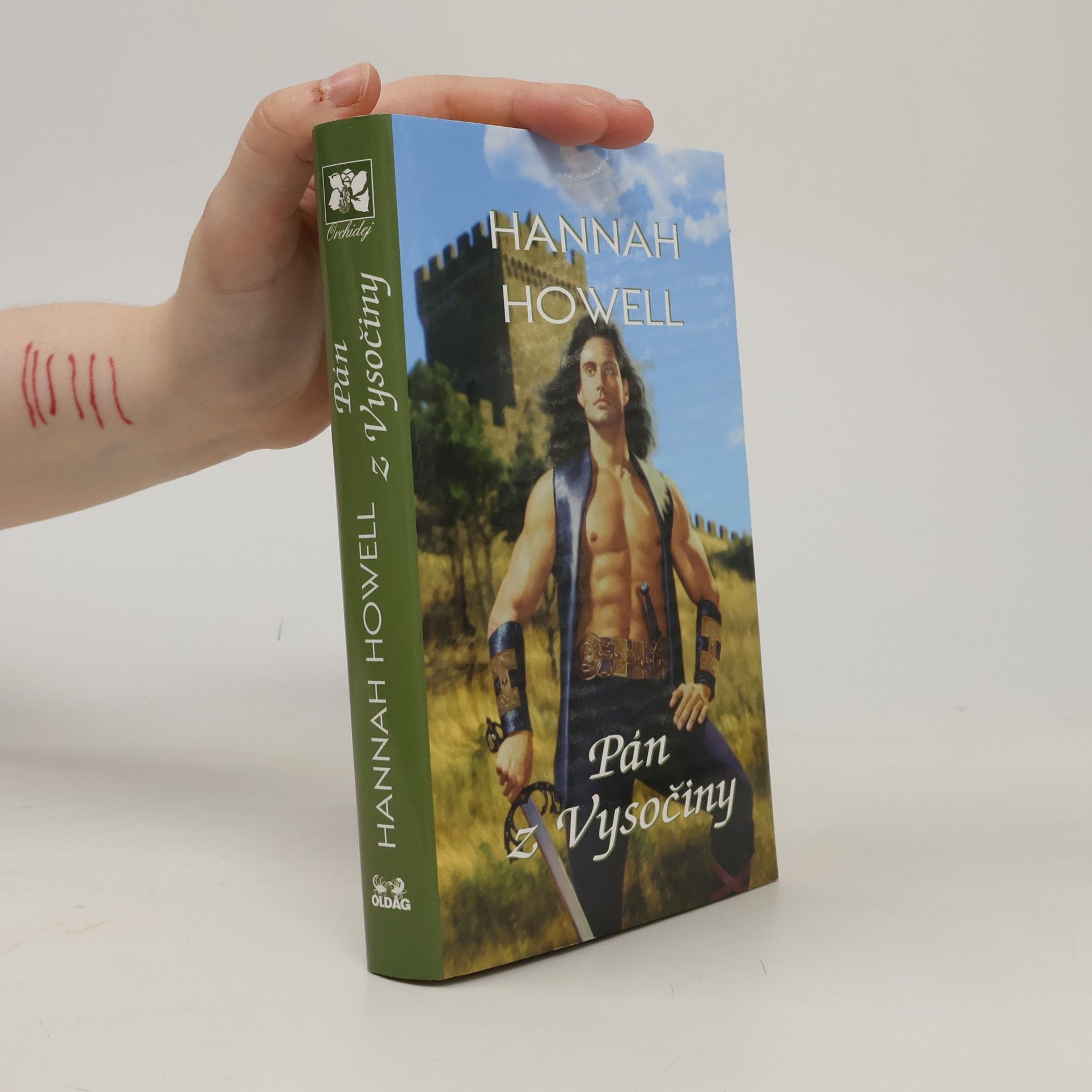 Hannah Howell Pán z Vysočiny