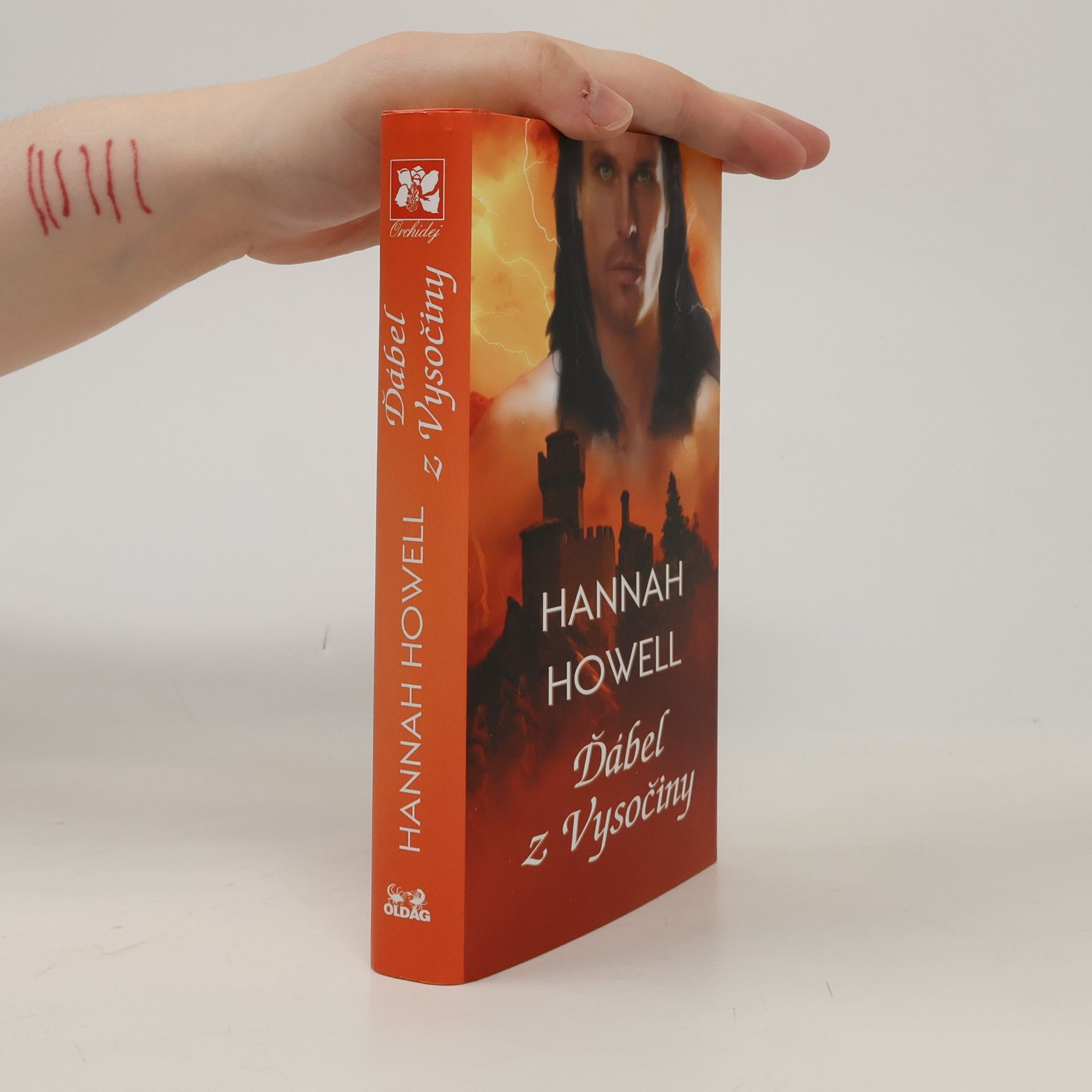 Hannah Howell Ďábel z Vysočiny