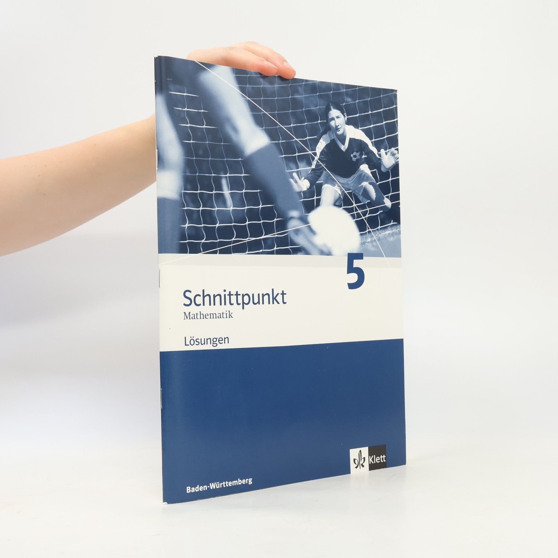 Autores varios Schnittpunkt - Mathematik für Realschulen