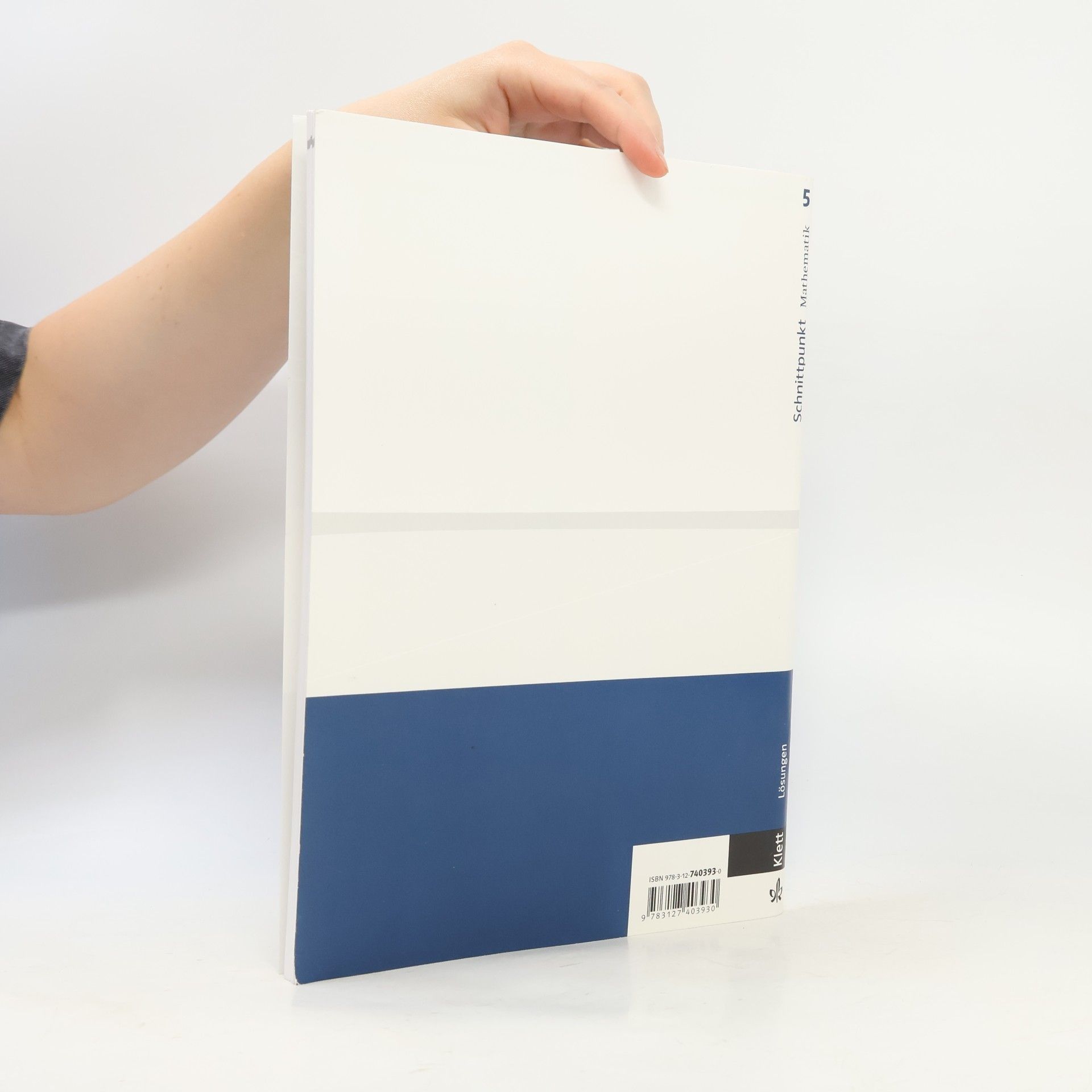 Schnittpunkt - Mathematik für Realschulen