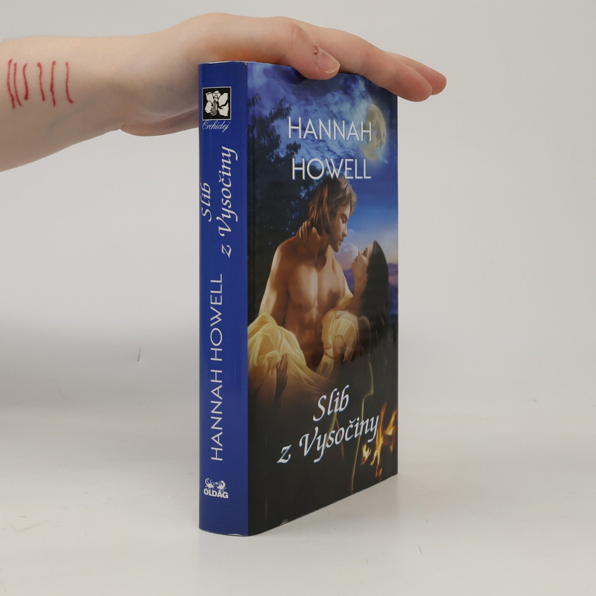 Hannah Howell Slib z Vysočiny