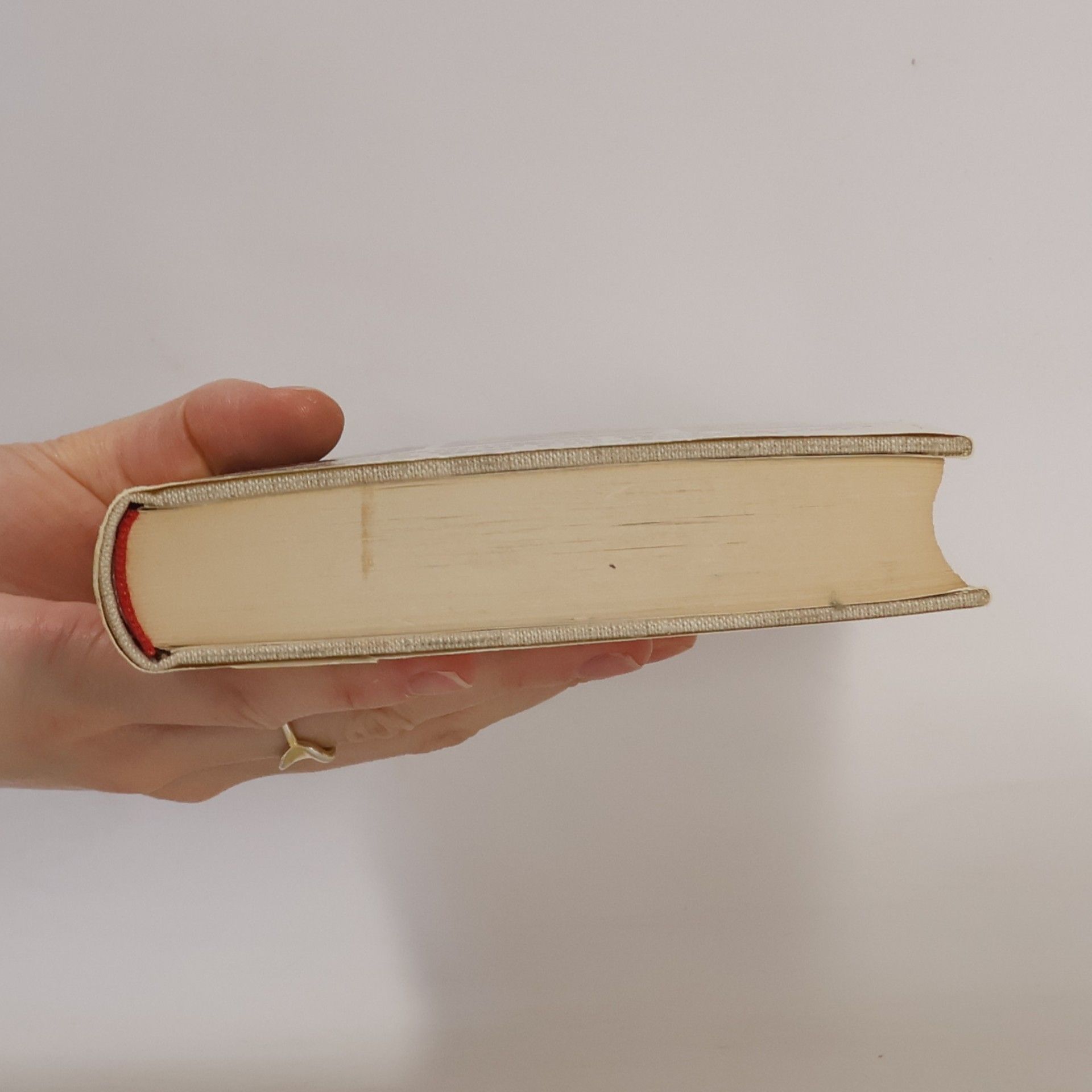 Autorenkollektiv Eisenstein...und fand sich berühmt