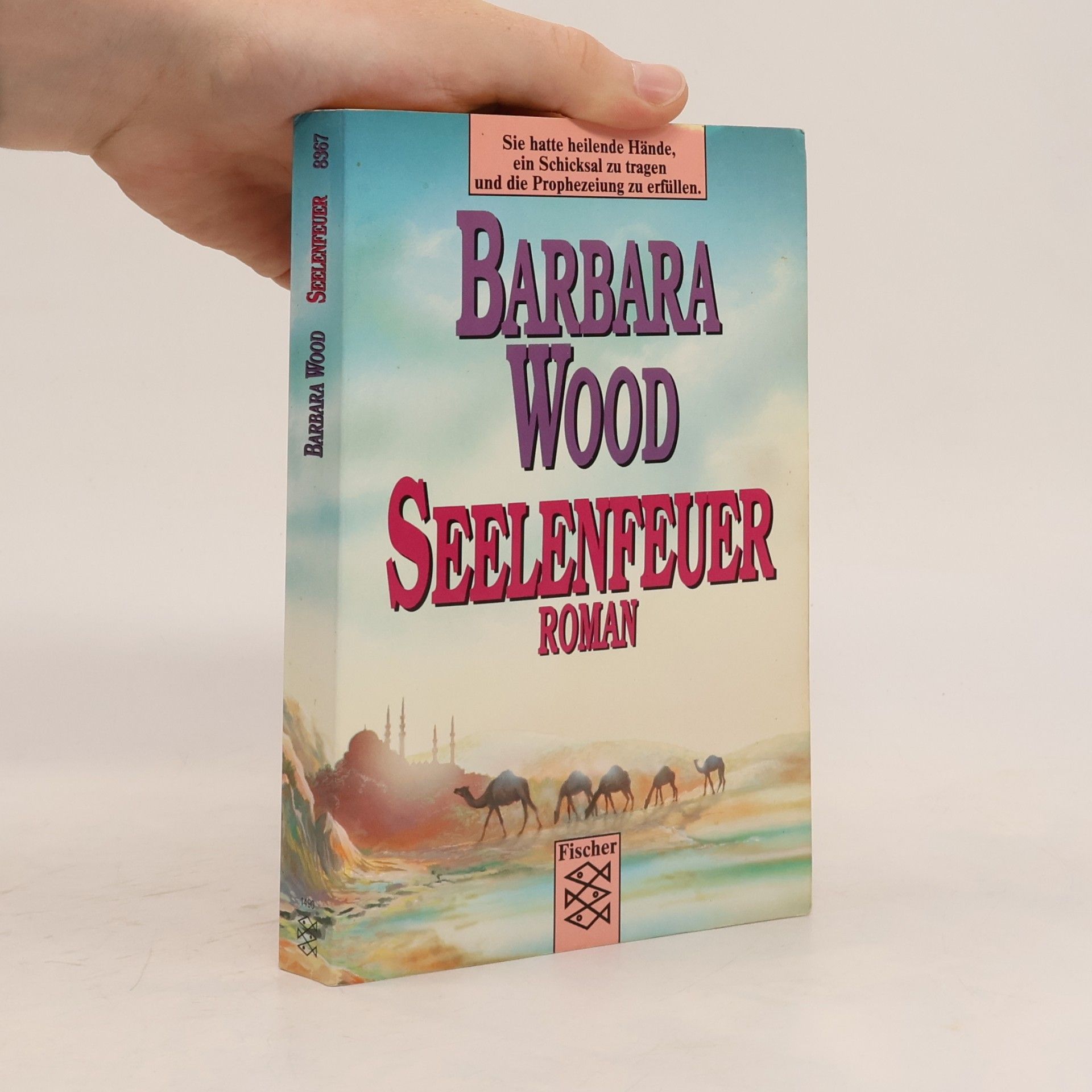 Barbara Wood Seelenfeuer
