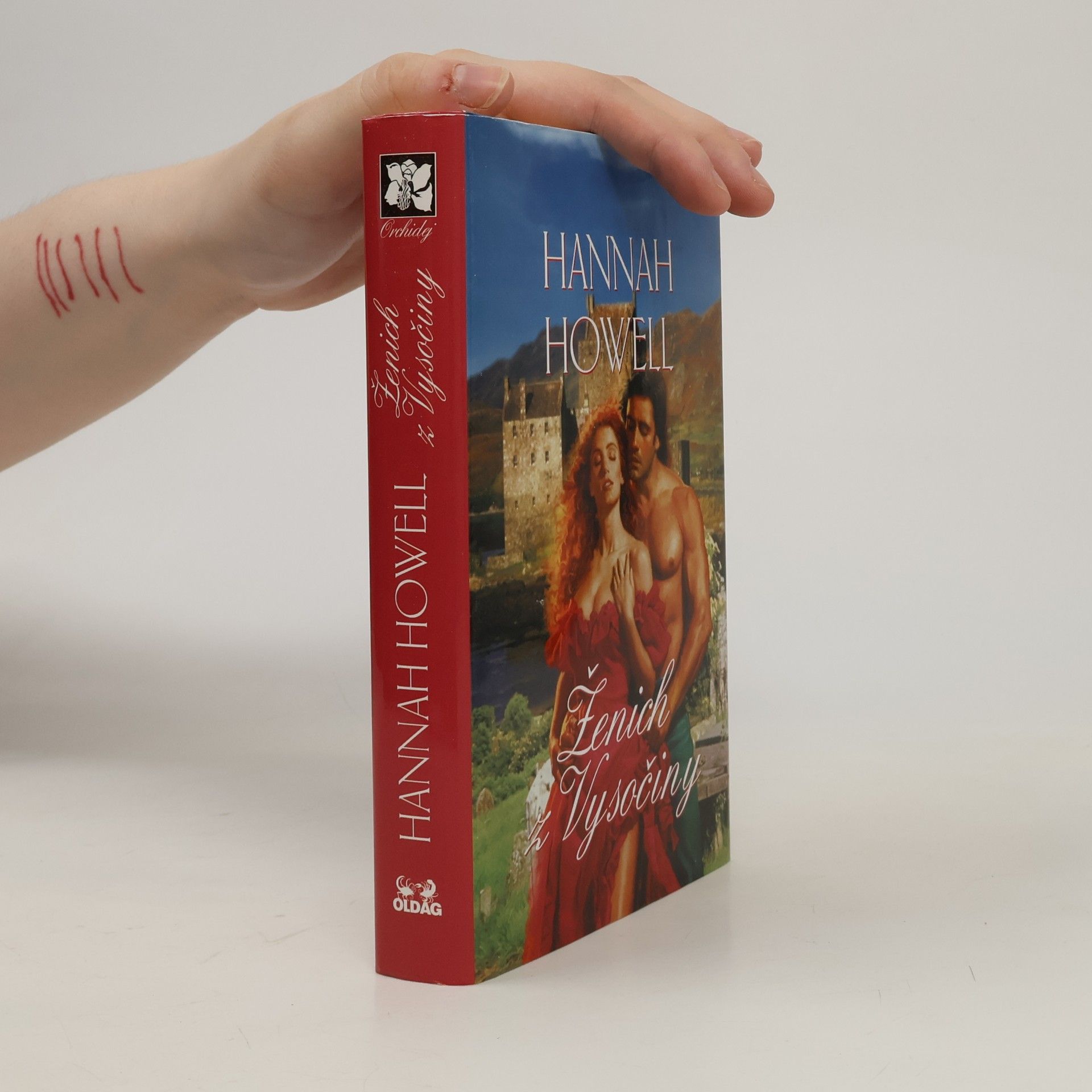 Hannah Howell Ženich z Vysočiny