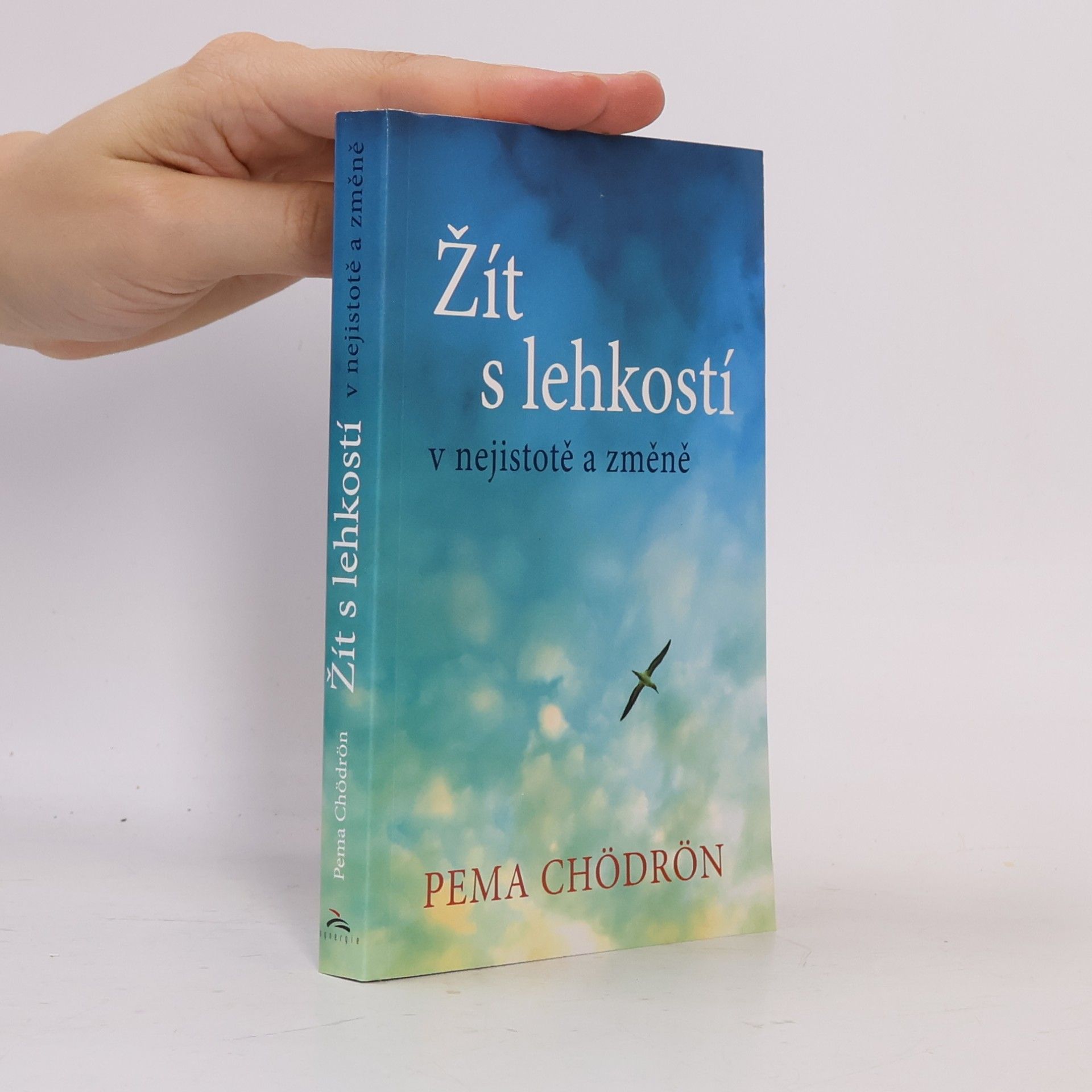 Pema Chödrön Žít s lehkostí
