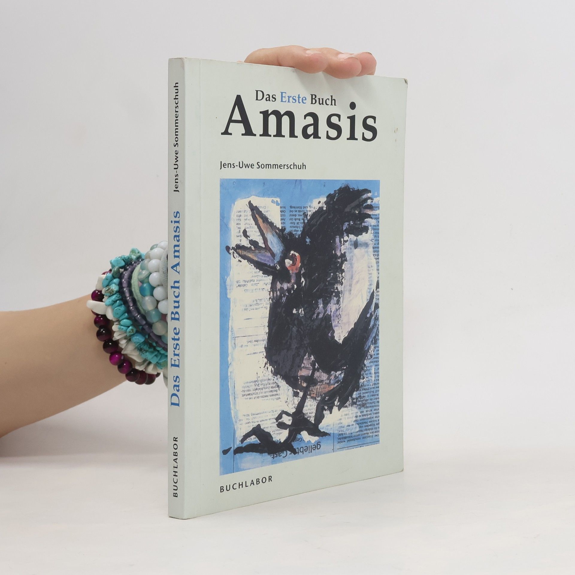 Jens-Uwe Sommerschuh Das Erste Buch Amasis