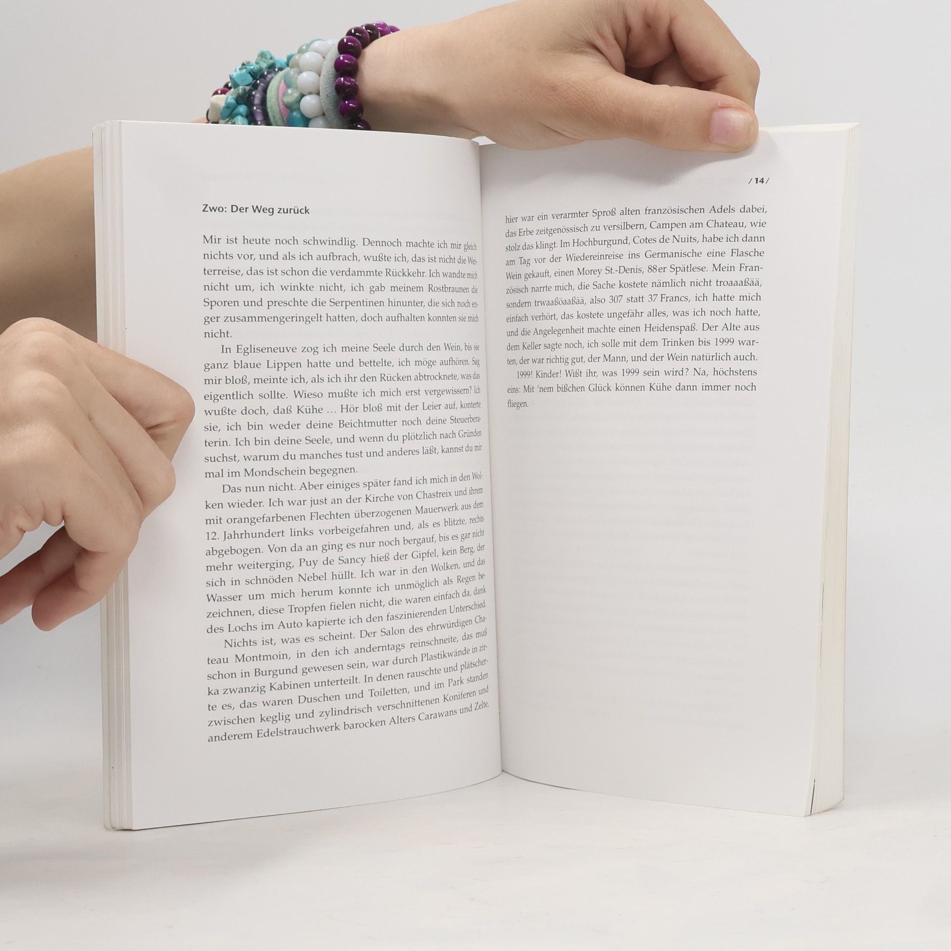 Jens-Uwe Sommerschuh Das Erste Buch Amasis