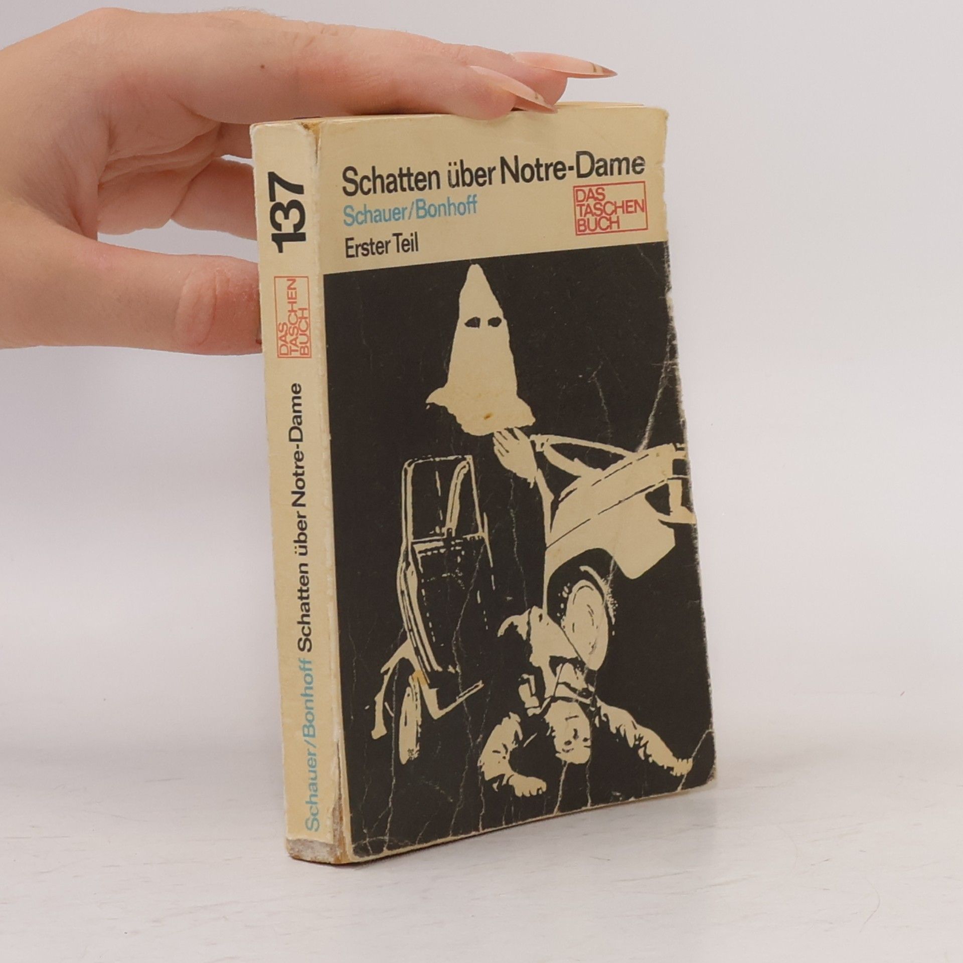 Herbert Schauer Schatten über Notre-Dame I.