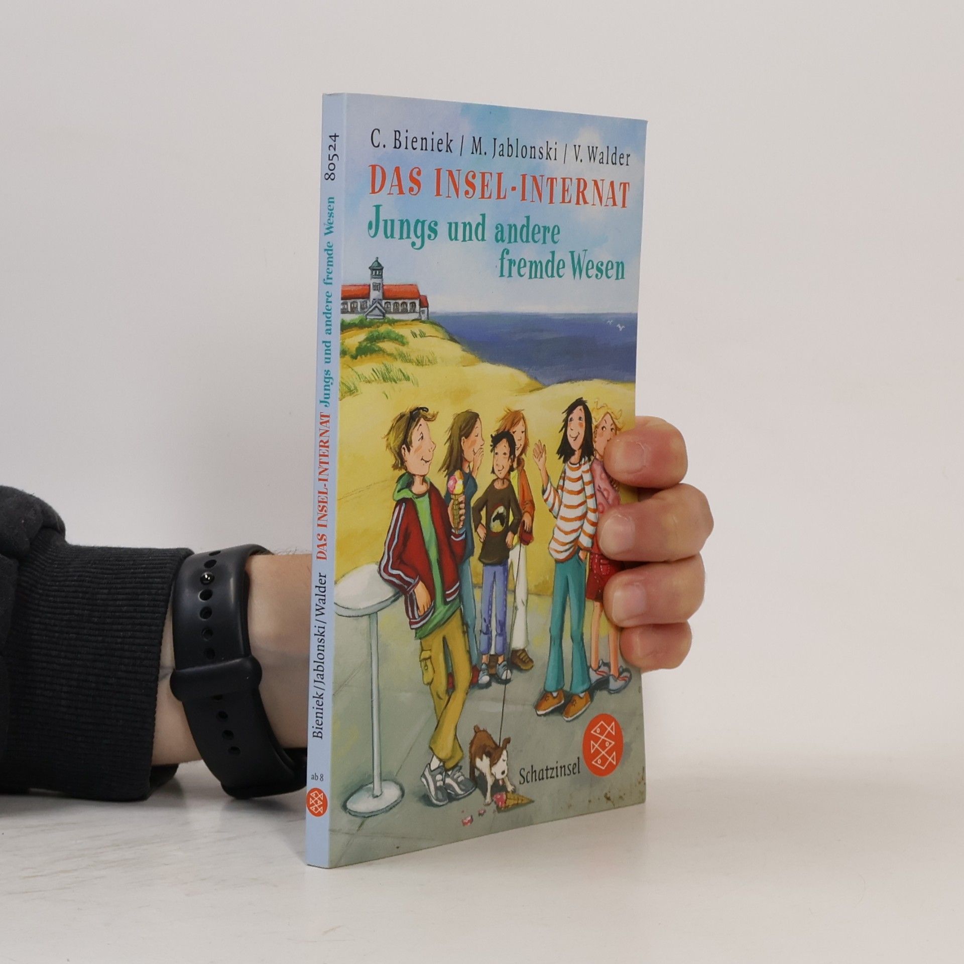 Vanessa Walder Das Insel-Internat, Jungs und andere fremde Wesen