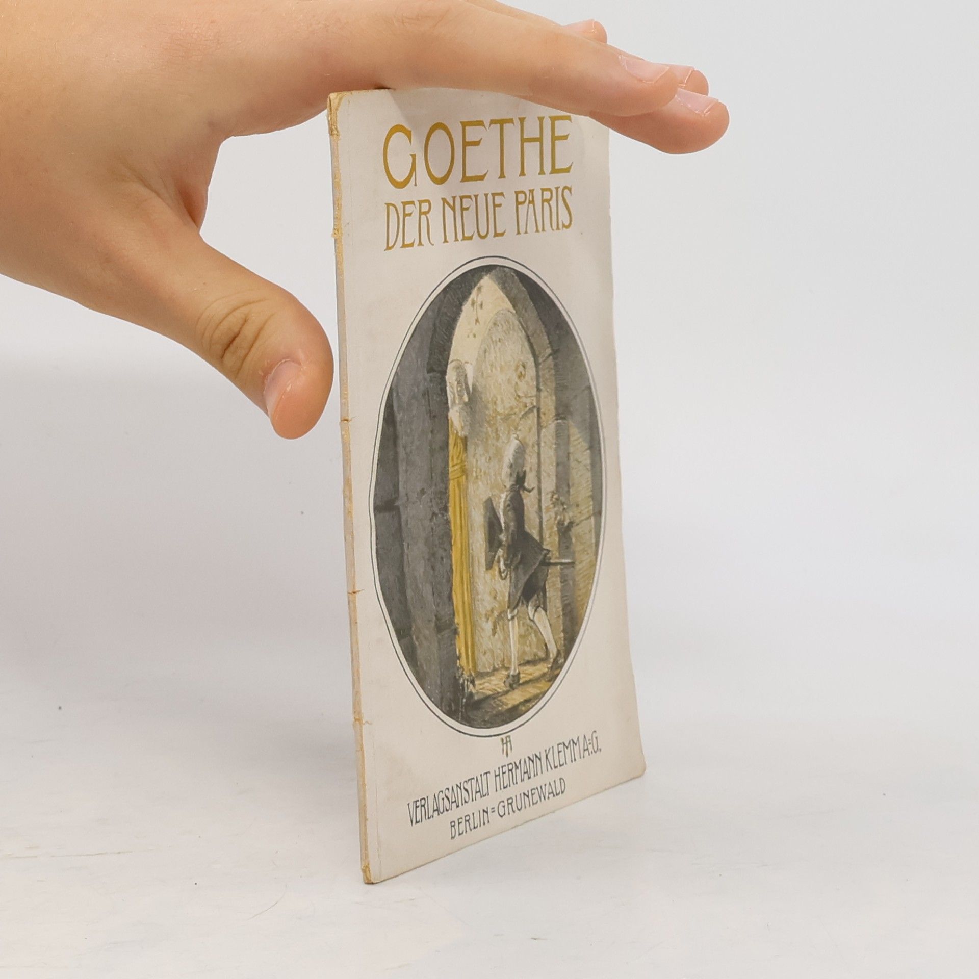 Autorenkollektiv Goethe. Der neue Paris