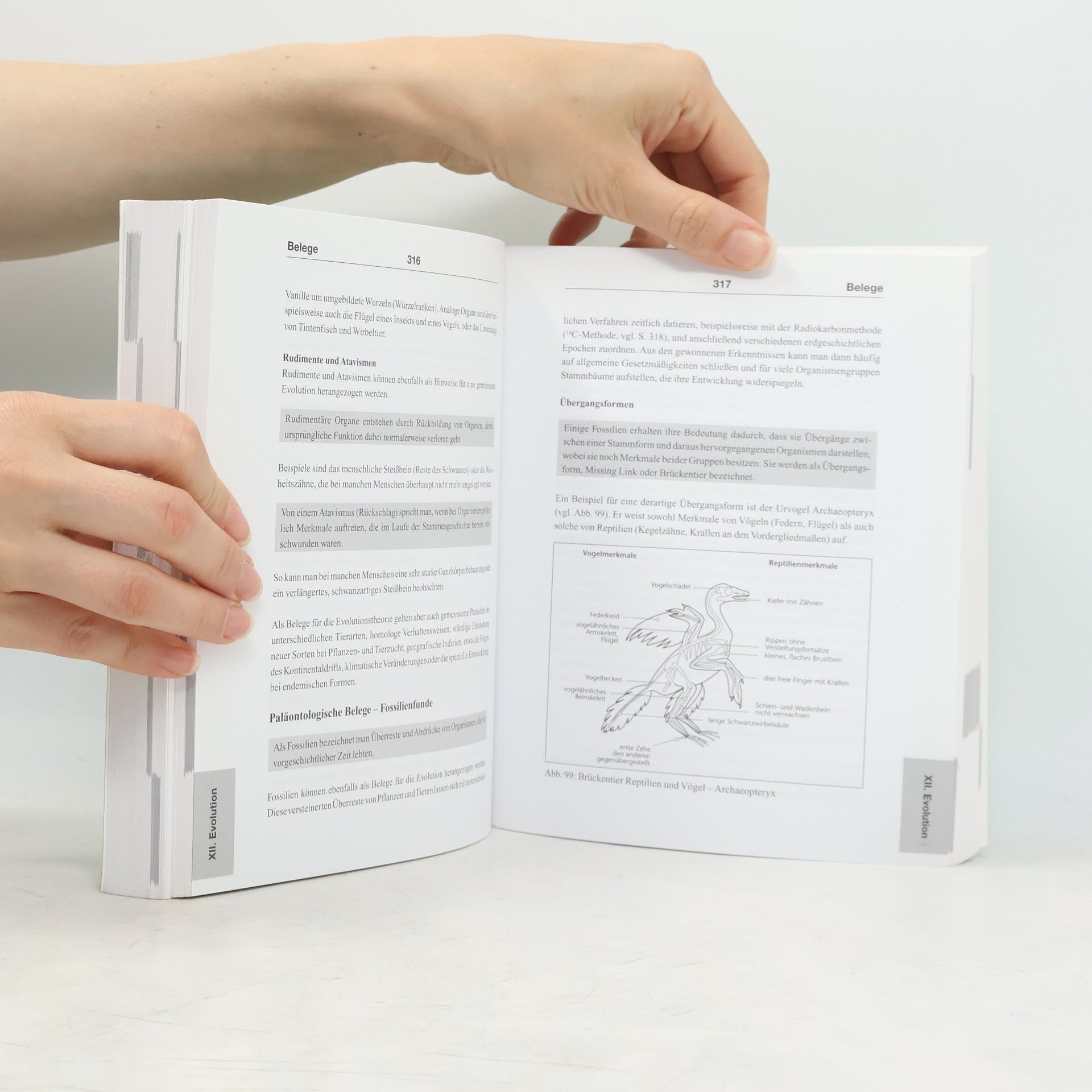 Autorenkollektiv Großes Buch der Biologie