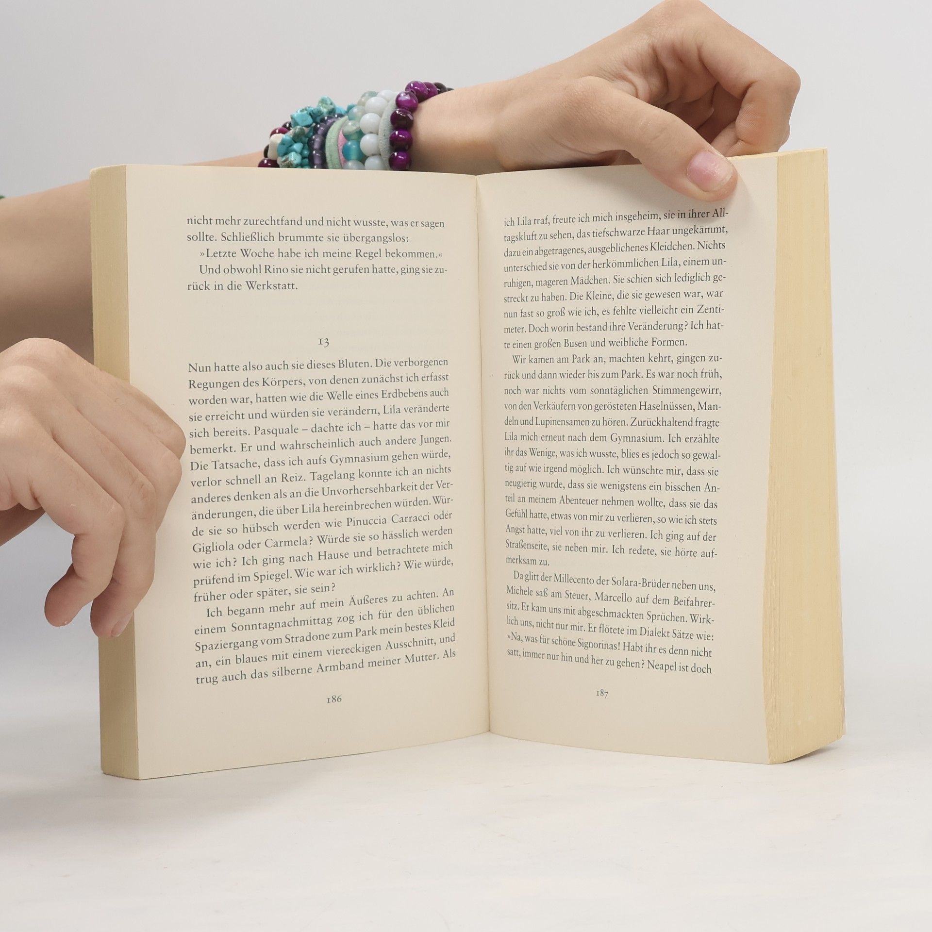 Elena Ferrante Meine geniale Freundin