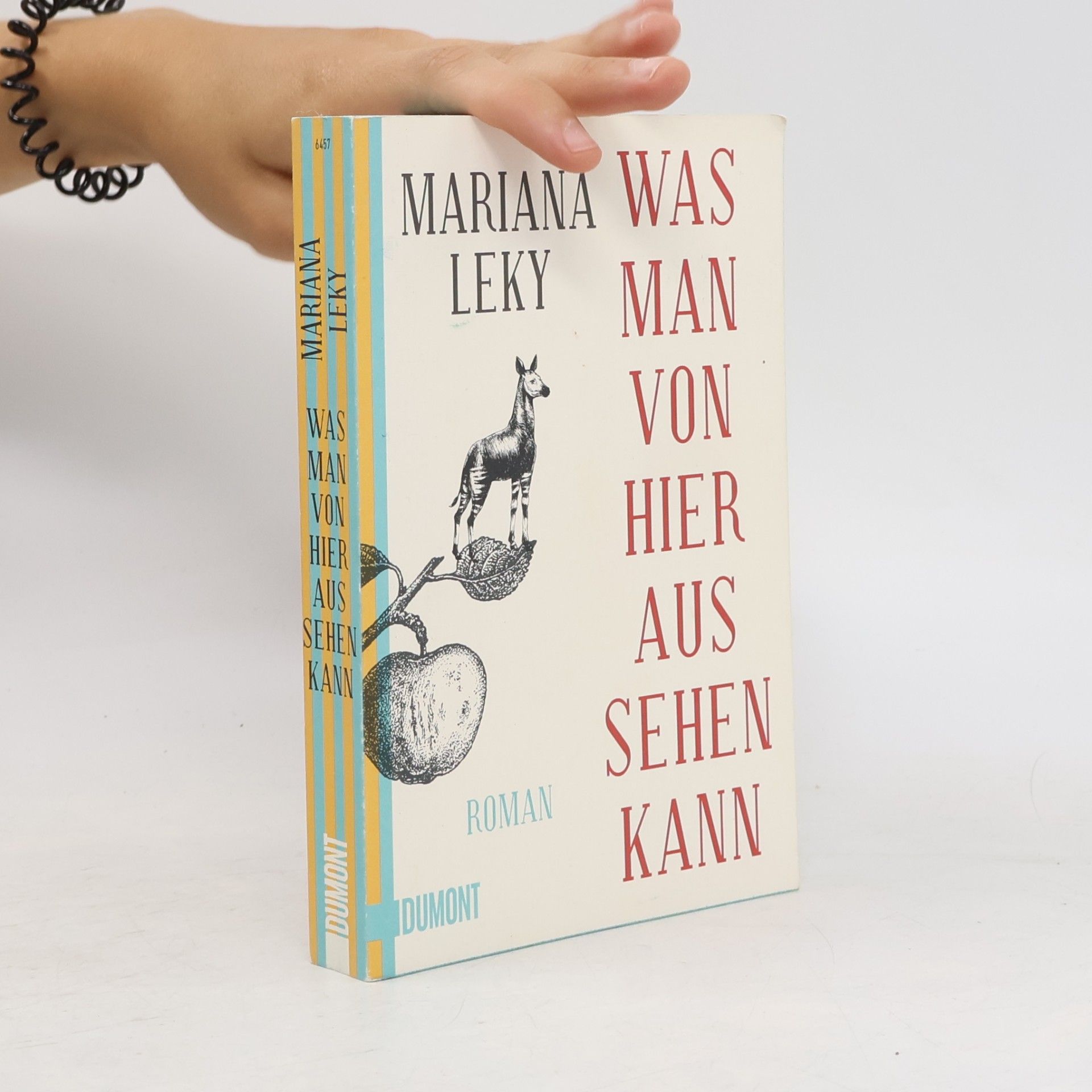 Mariana Leky Was man von hier aus sehen kann