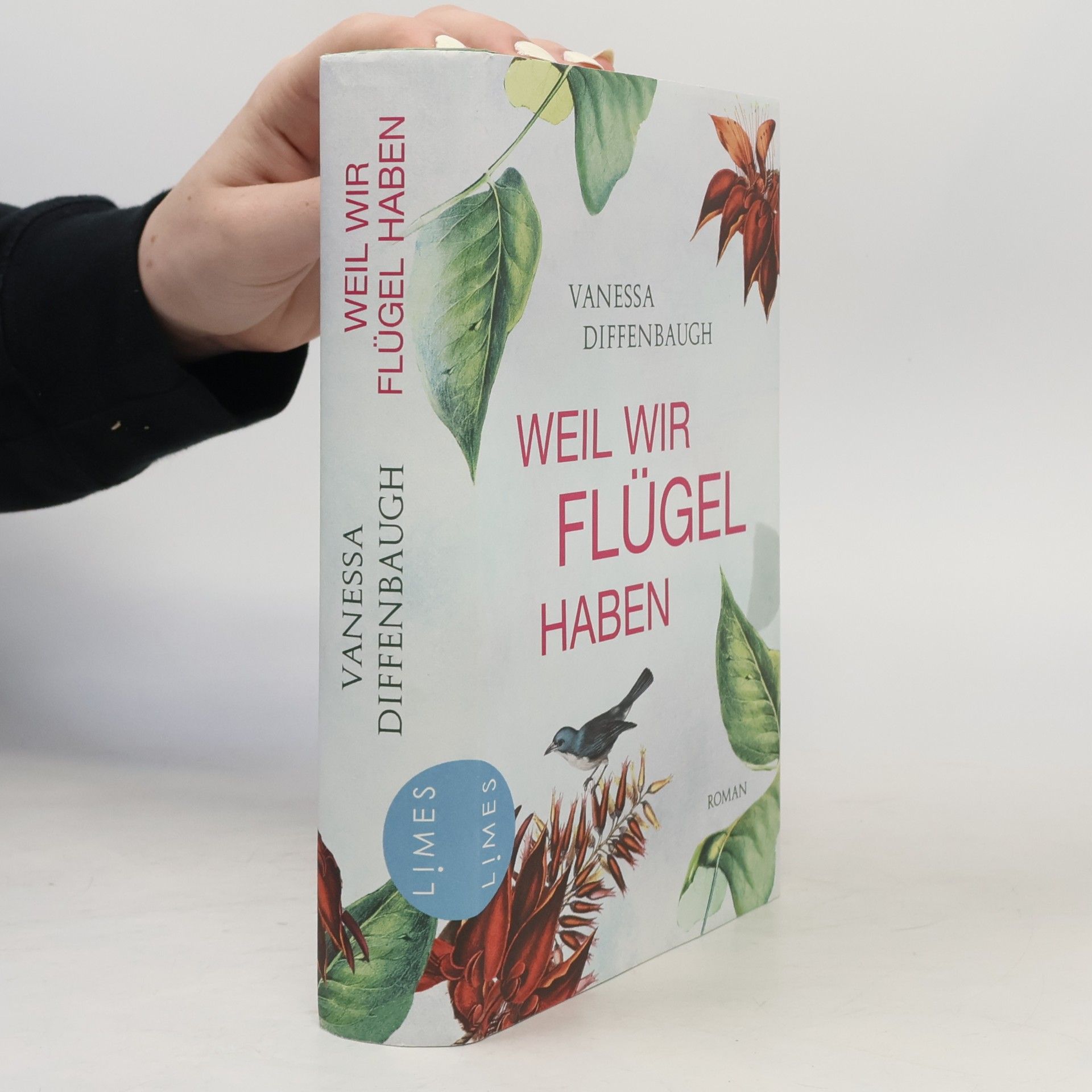 Vanessa Diffenbaugh Weil wir Flügel haben