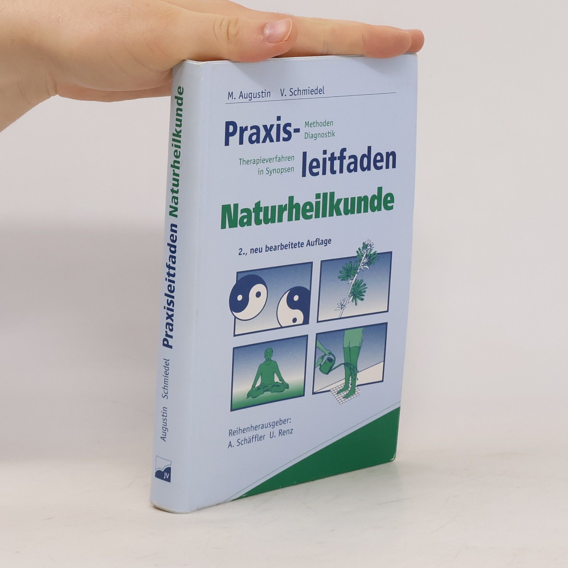 Matthias Augustin Praxisleitfaden Naturheilkunde