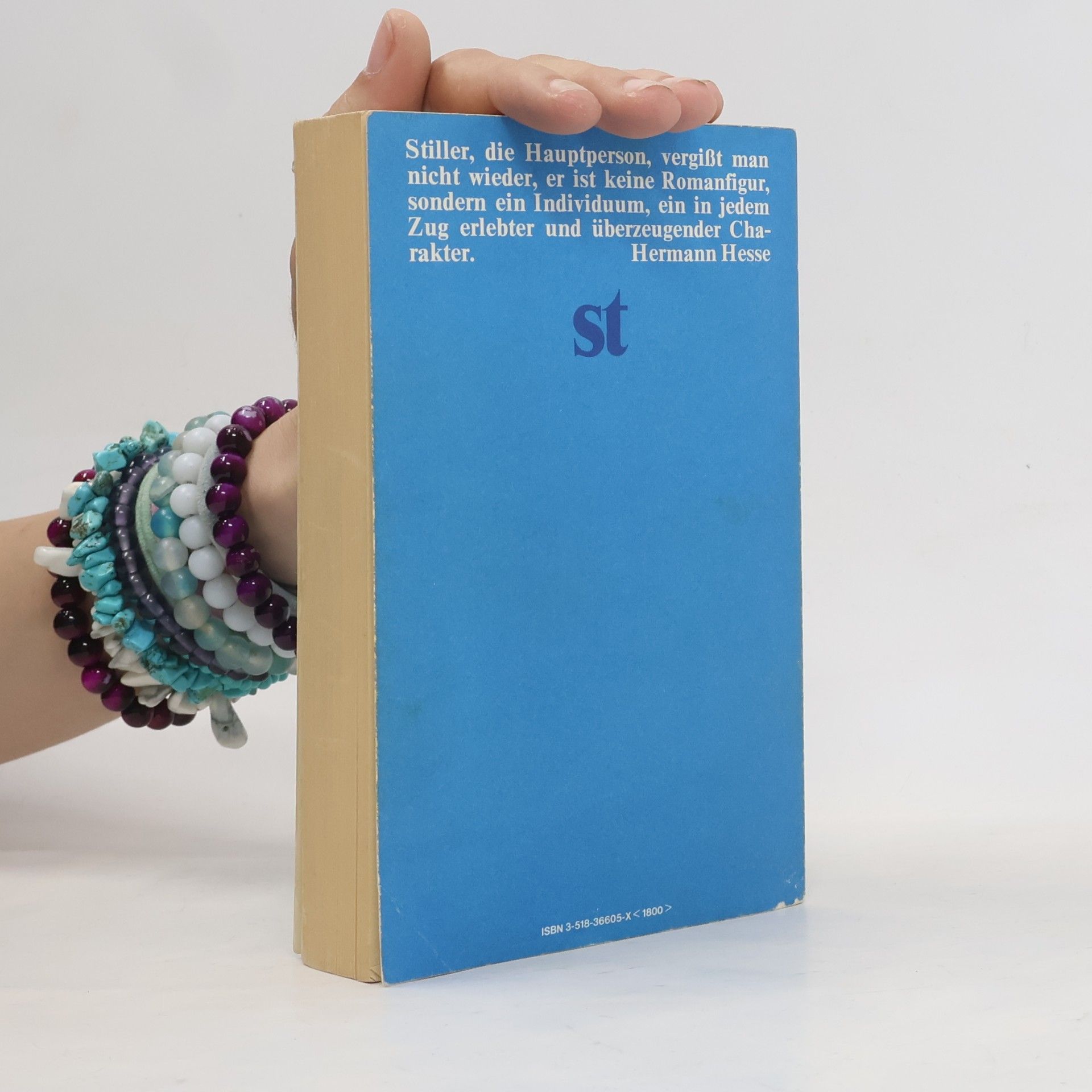 Max Frisch Stiller