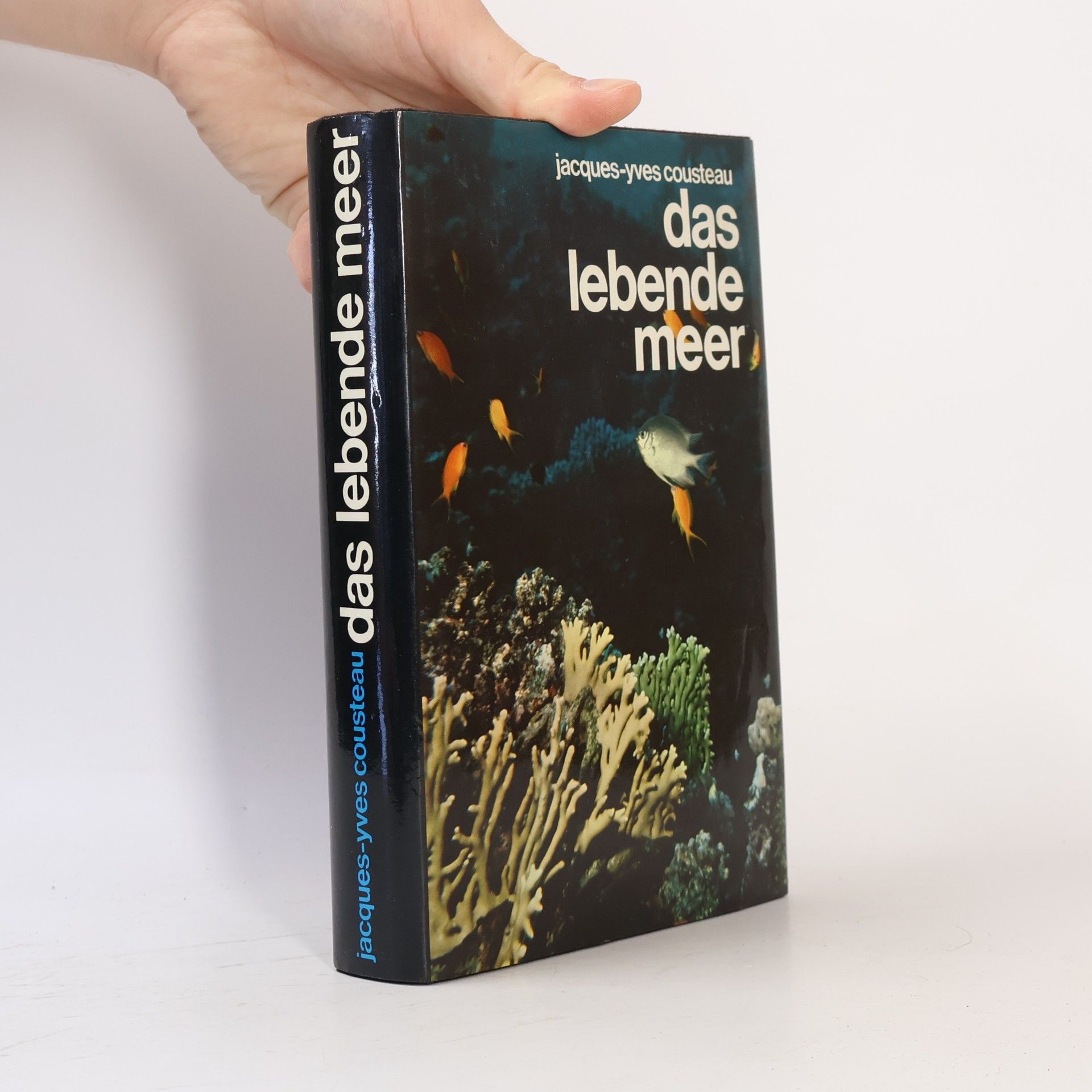 Das lebende Meer