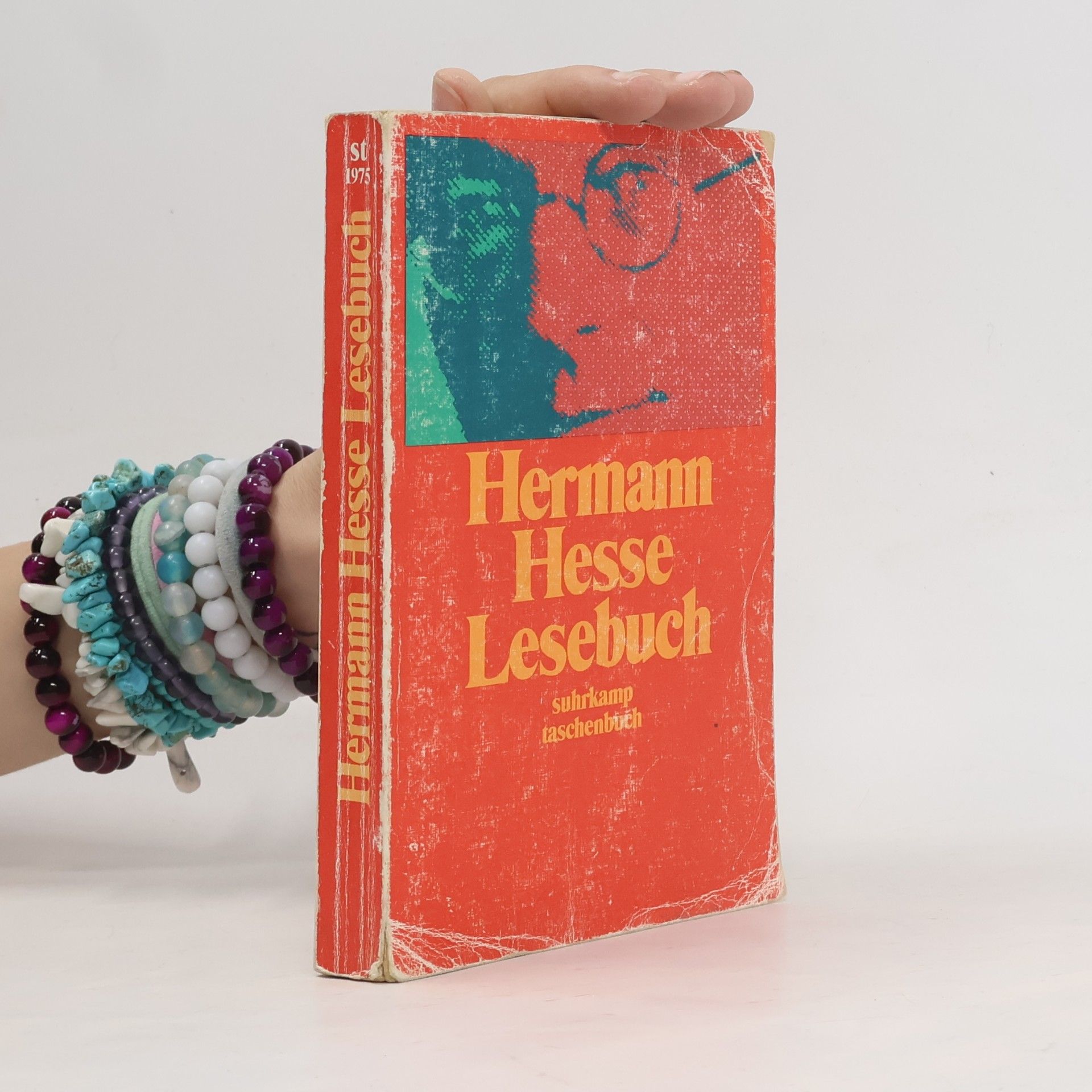 Hermann Hesse Lesebuch