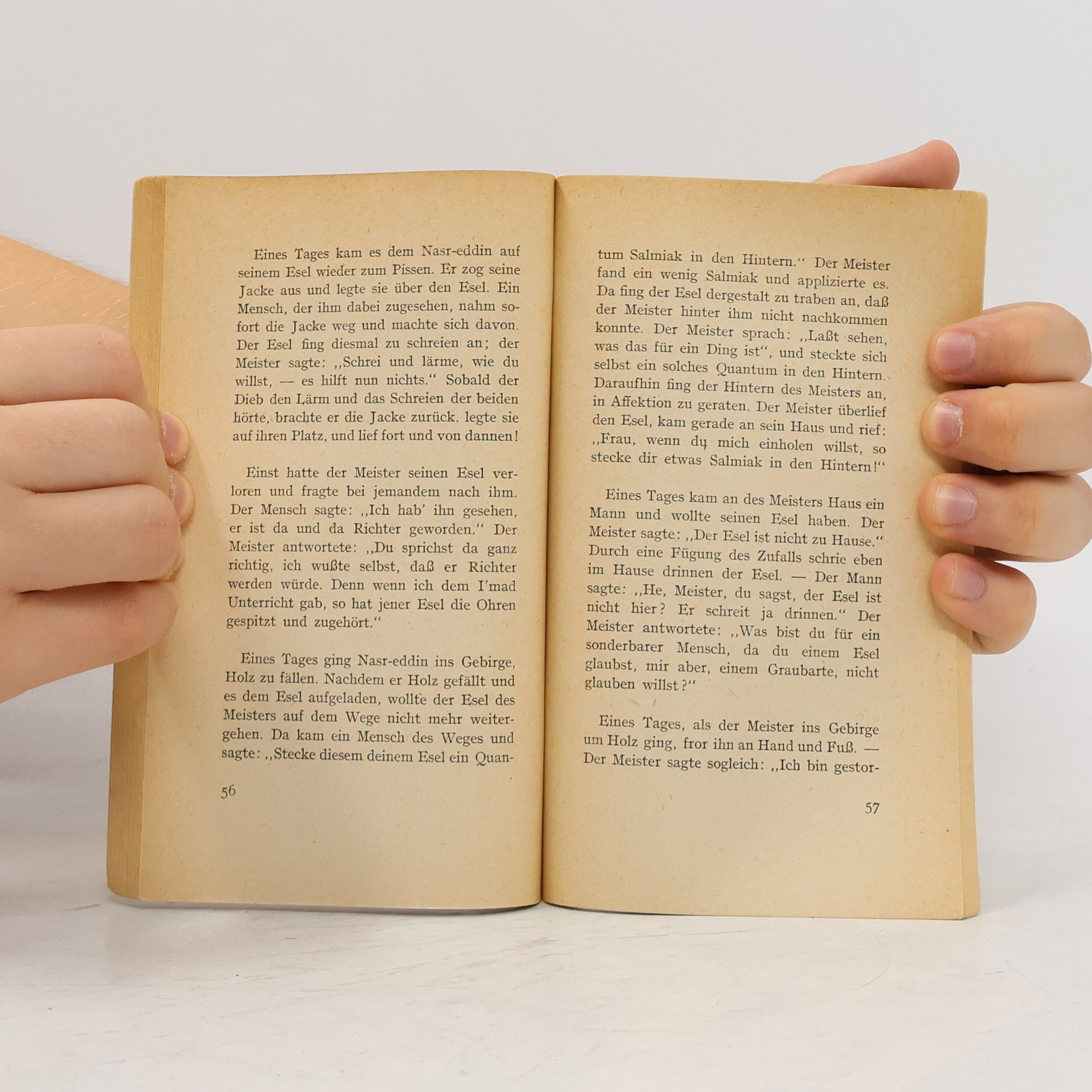 Autorenkollektiv Meister Nasreddin's Schwänke