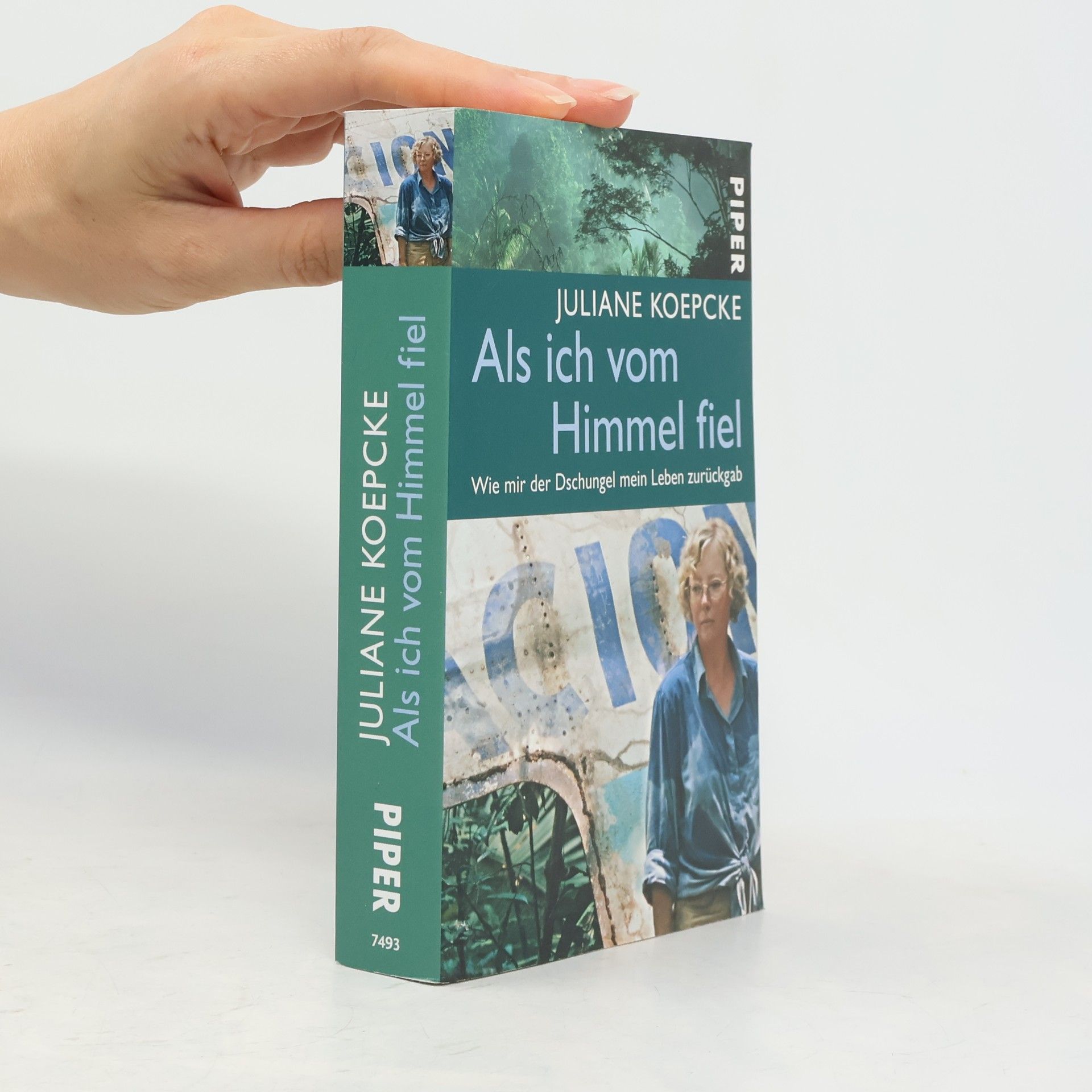 Juliane Diller Als ich vom Himmel fiel